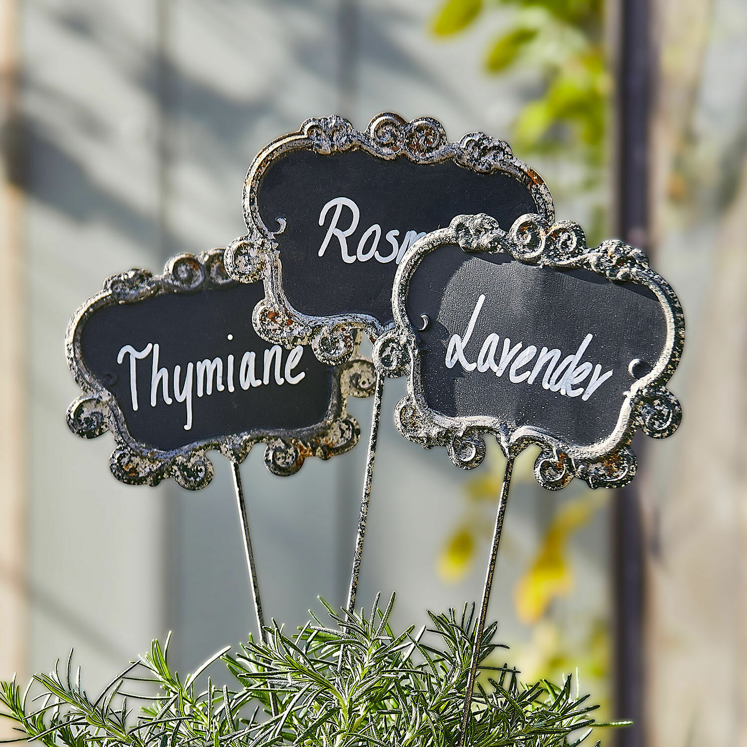 Étiquettes en métal pour herbes thym, romarin et lavande dans un pot avec feuilles vertes