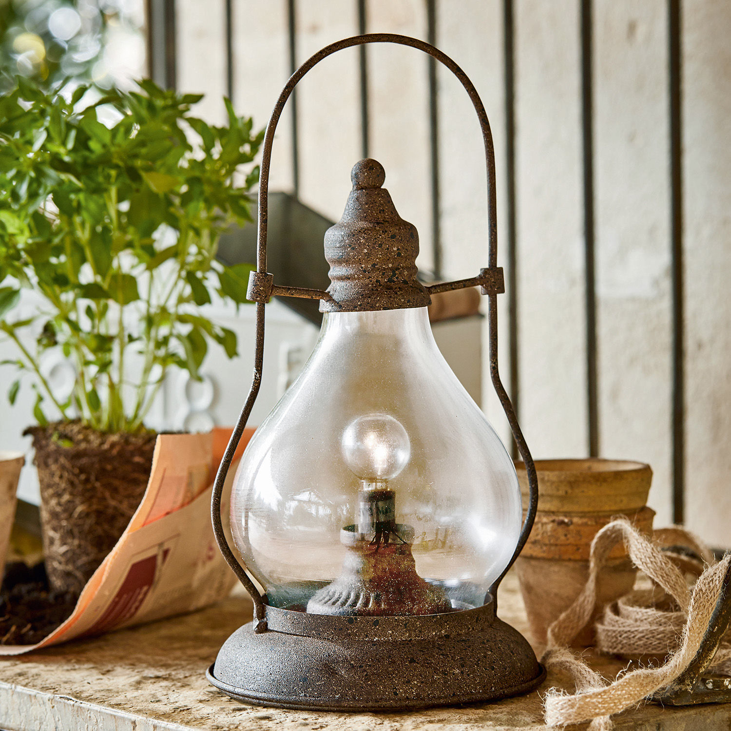 Lanterne LED Cortney Lampe rustique en métal avec abat-jour en verre transparent et ampoule sur table avec plante