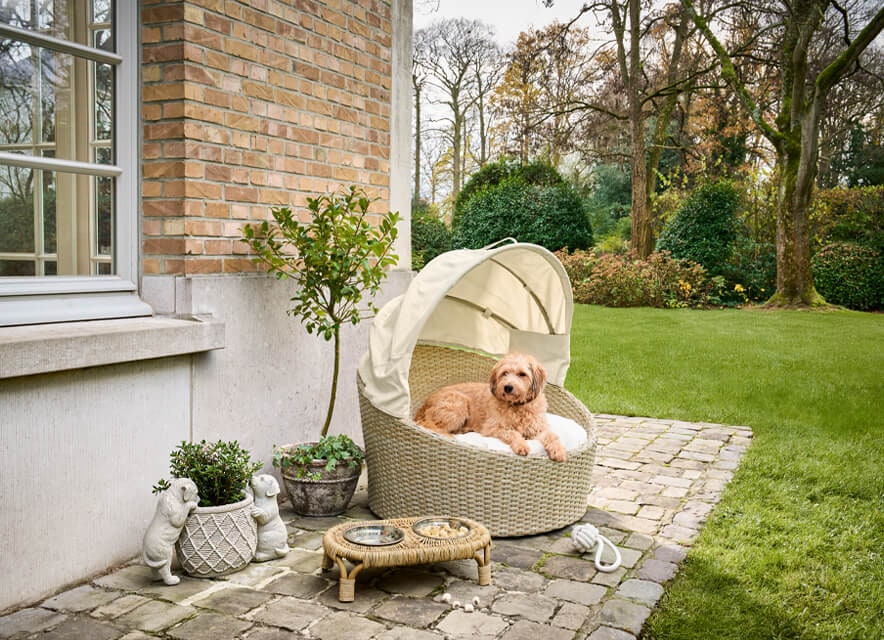 Een strandkorfgevoel voor viervoeters
