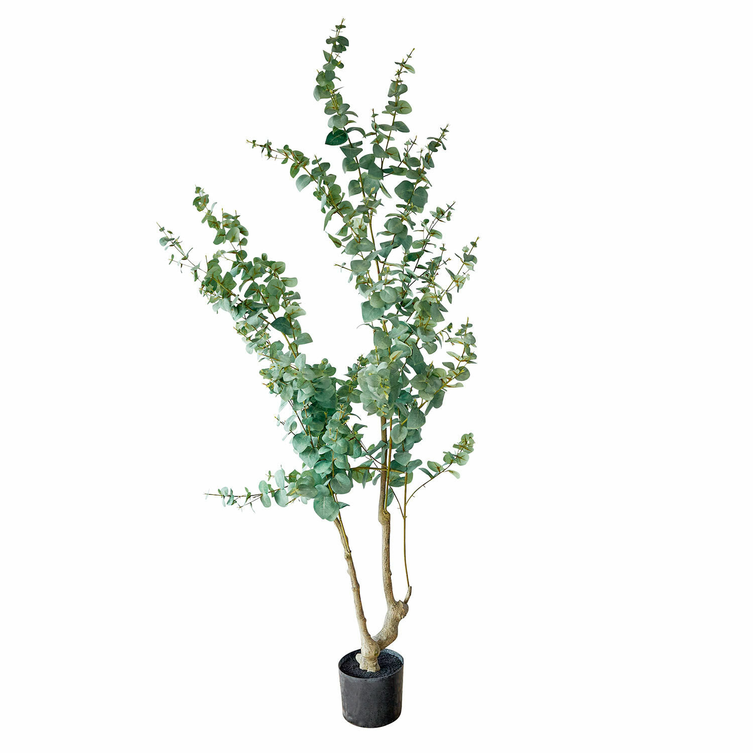Plante décorative en pot Dorevi Arbre artificiel d'eucalyptus en pot noir avec feuilles vertes pour décoration intérieure