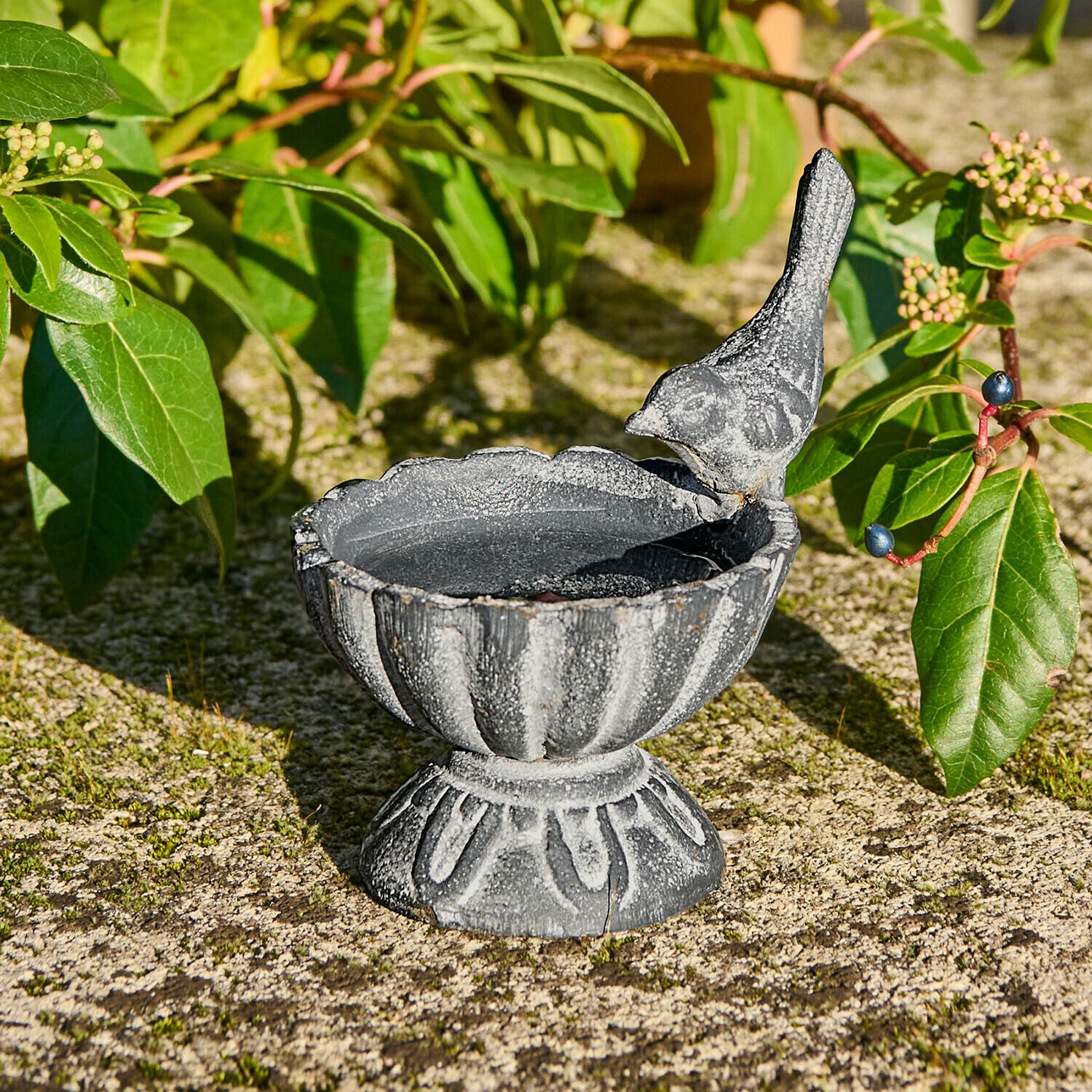 Vogelbadje Méravon