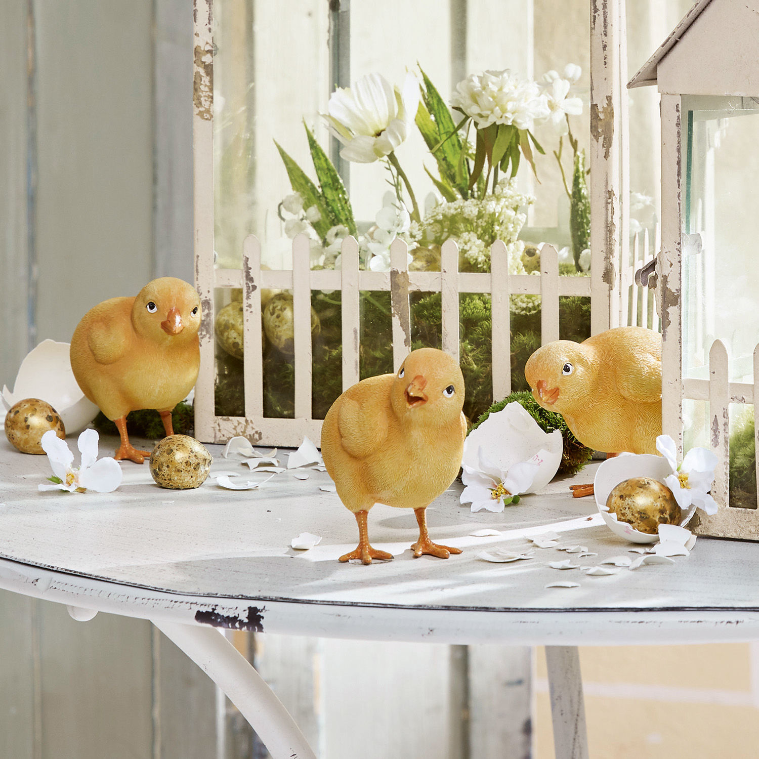 Lot de 4 poussins Wendolin