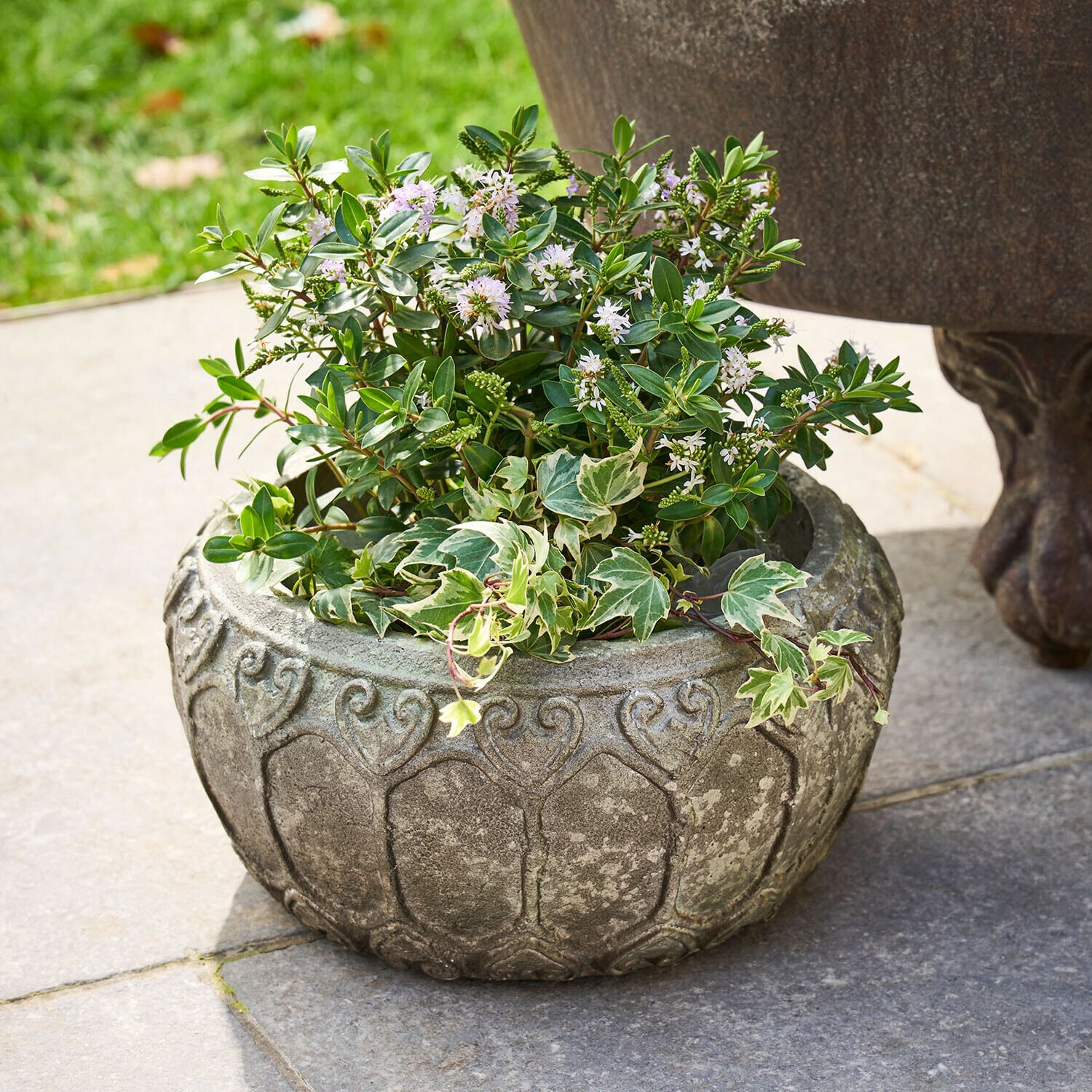 Cache-pot Sordelia Jardinière ronde en pierre grise avec plantes vertes et fleurs blanches sur terrasse en pierre