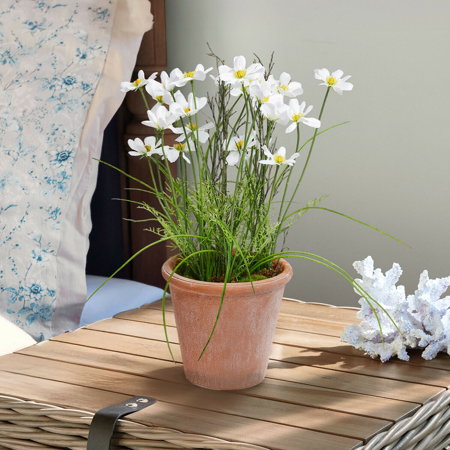 Decoratieve potplant Harmoise Witte bloemen in terracotta pot op houten tafel, groene bladeren, interieurdecoratie