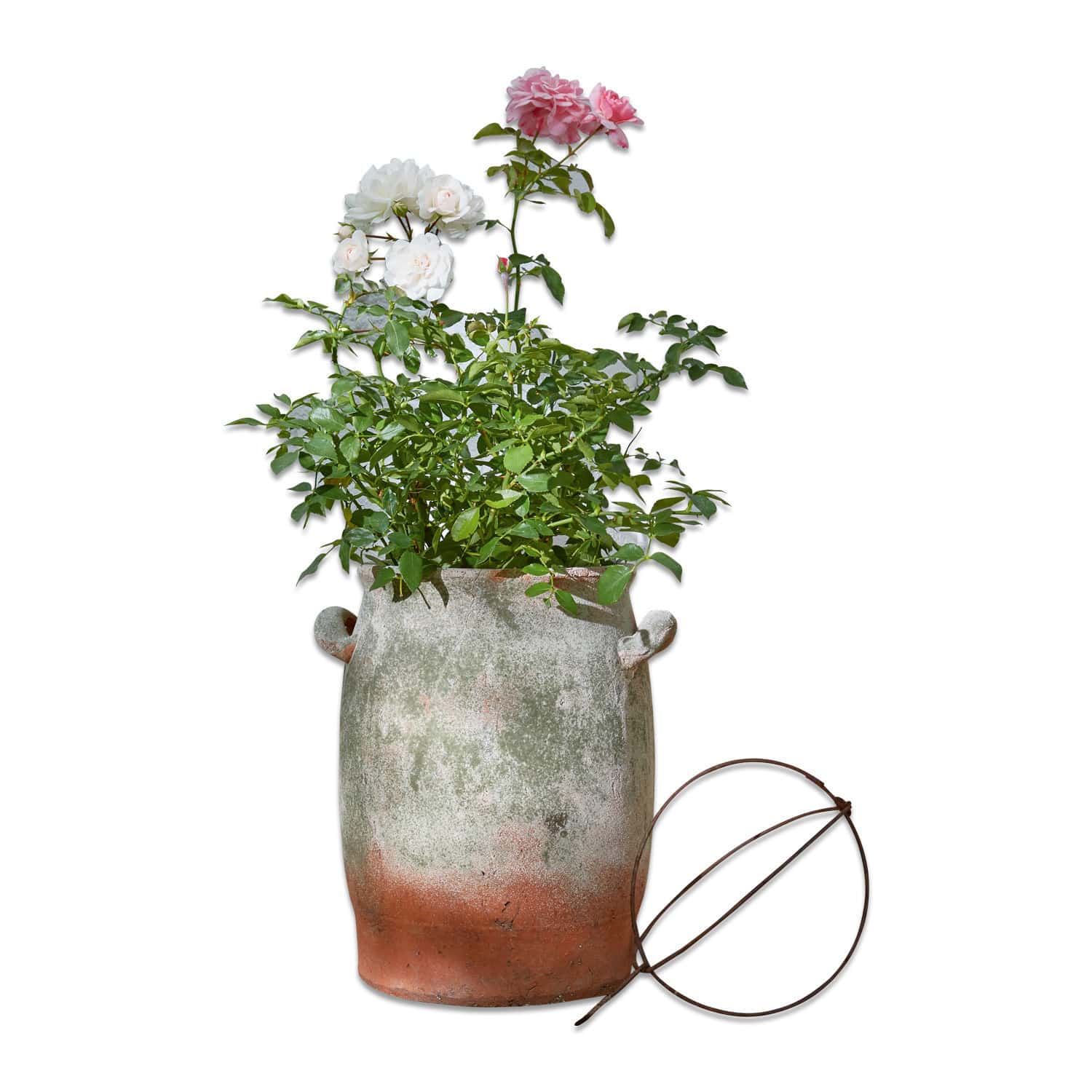 Cache-pot Massimo