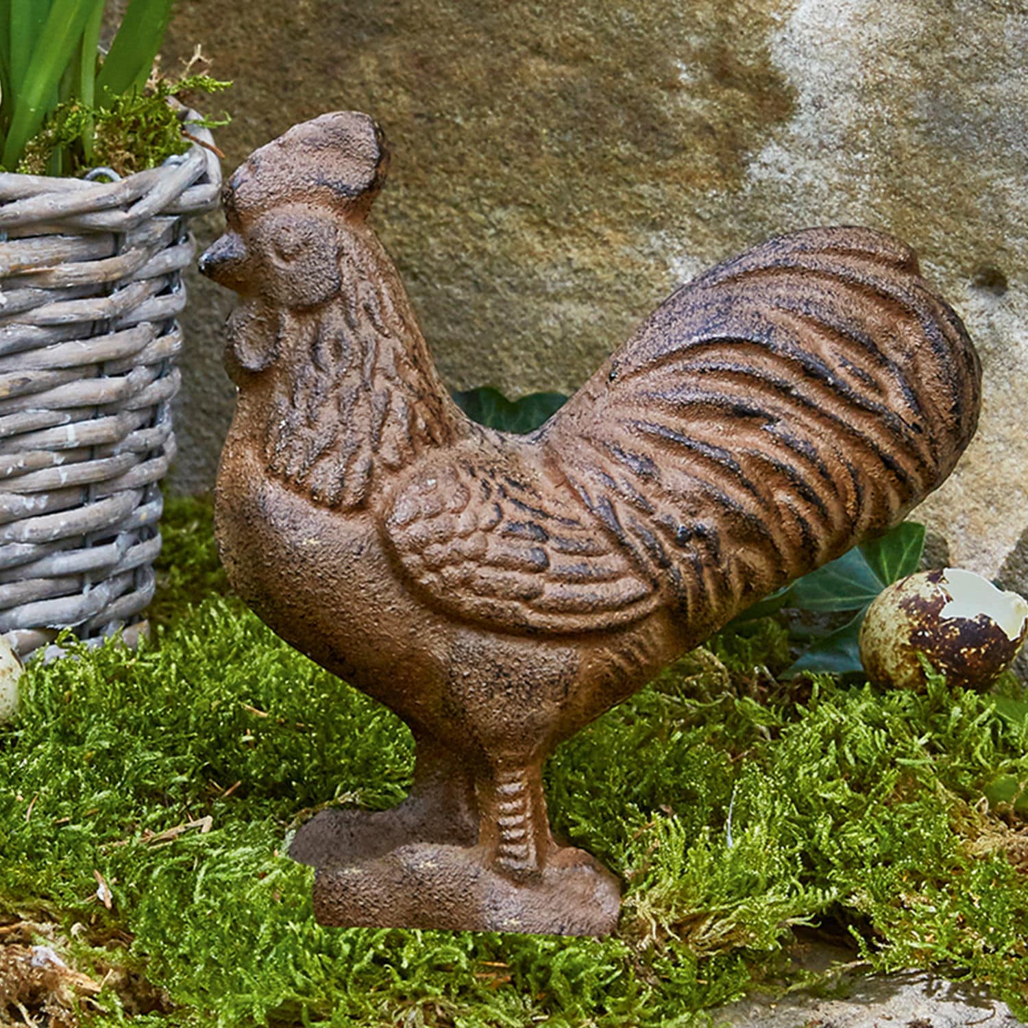 Coq Tillroy