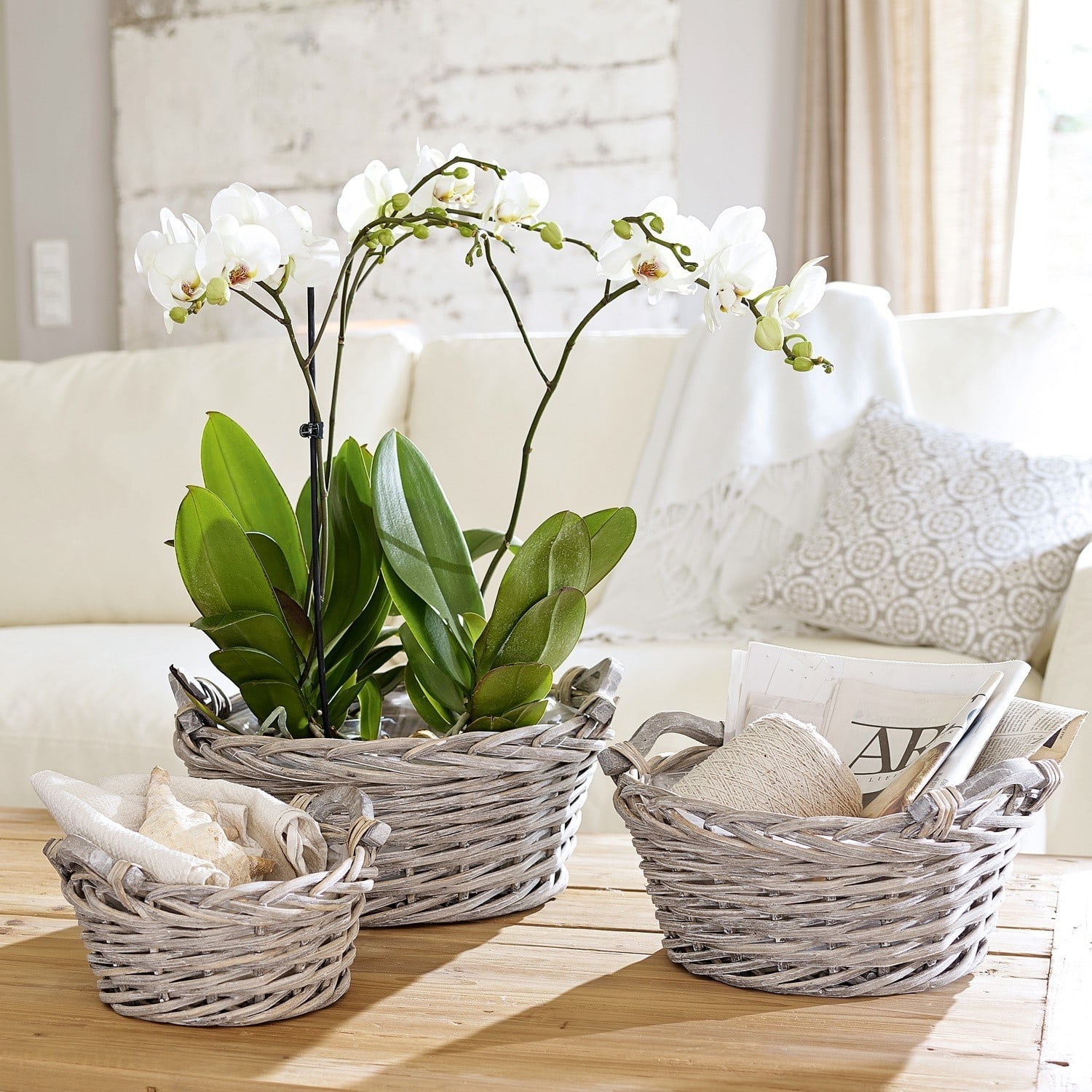 Lot de 3 corbeilles à plantes Waylon