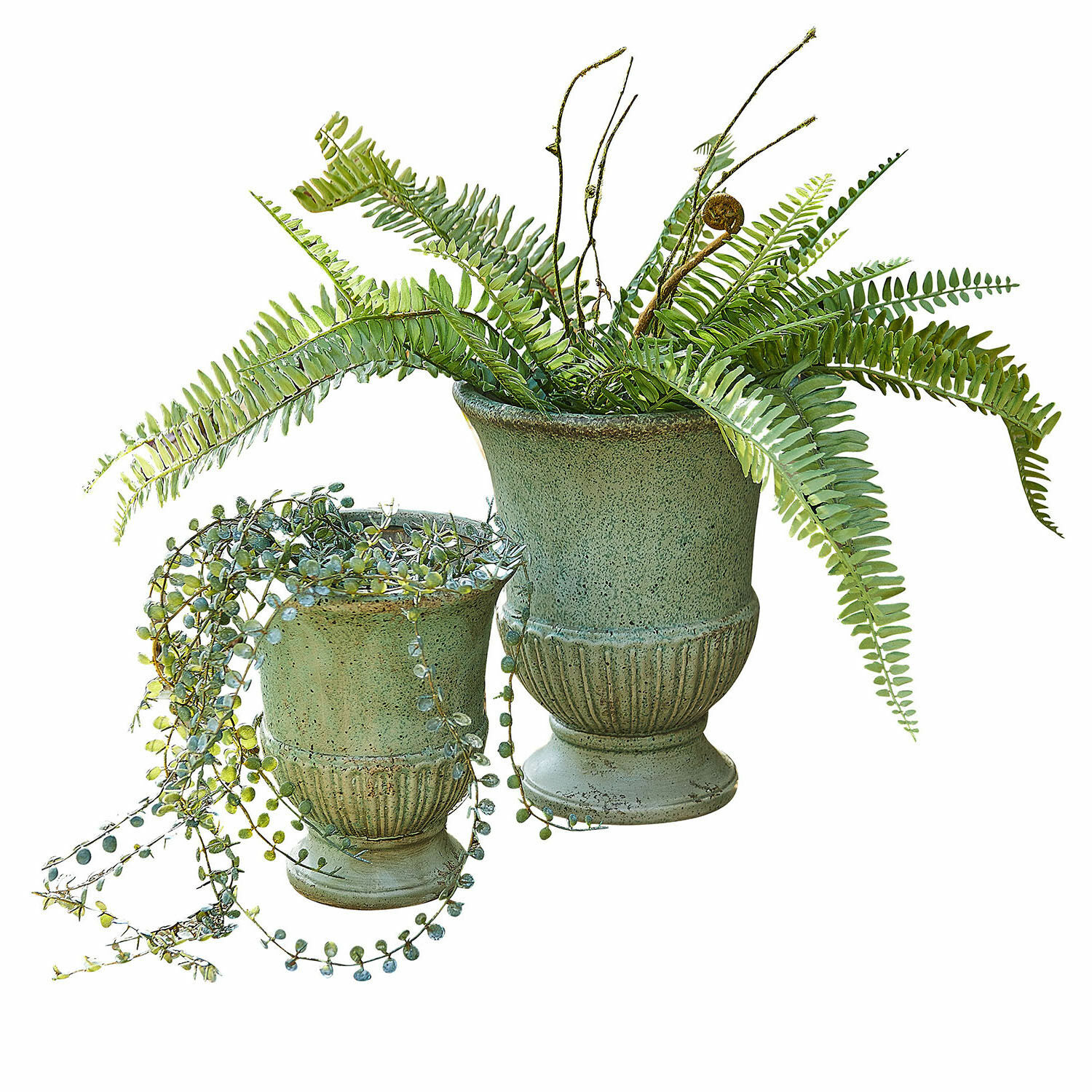 Lot de 2 amphores Jolivaux Ensemble de deux pots en céramique verte avec fougères et succulentes pour décoration intérieure