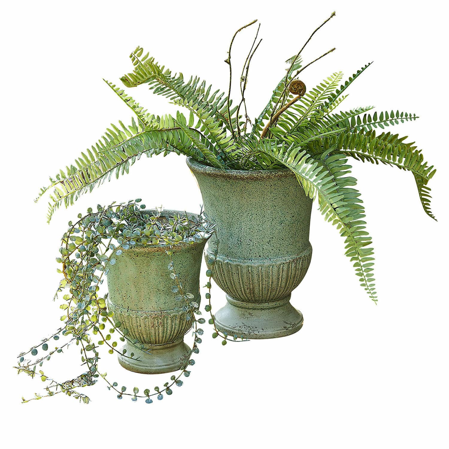 Lot de 2 amphores Jolivaux Ensemble de deux pots en céramique verte avec fougères et succulentes pour décoration intérieure