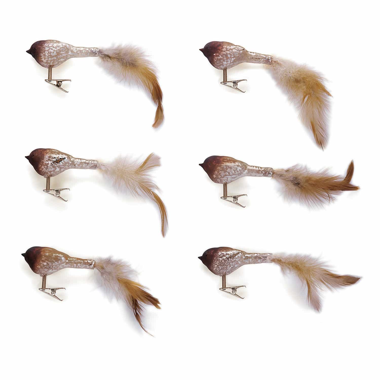 Vogel set van 6 Ceallach