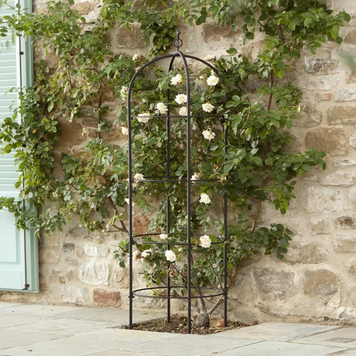Treillis de jardin en métal noir pour plantes grimpantes devant un mur en pierre avec feuillage vert