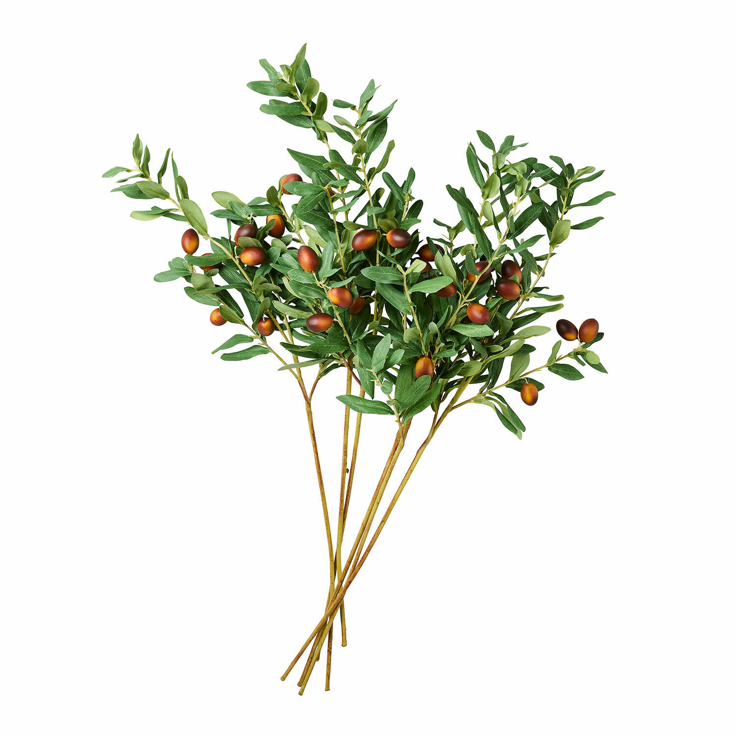 Lot de 6 branches d'olivier décoratives Dambly