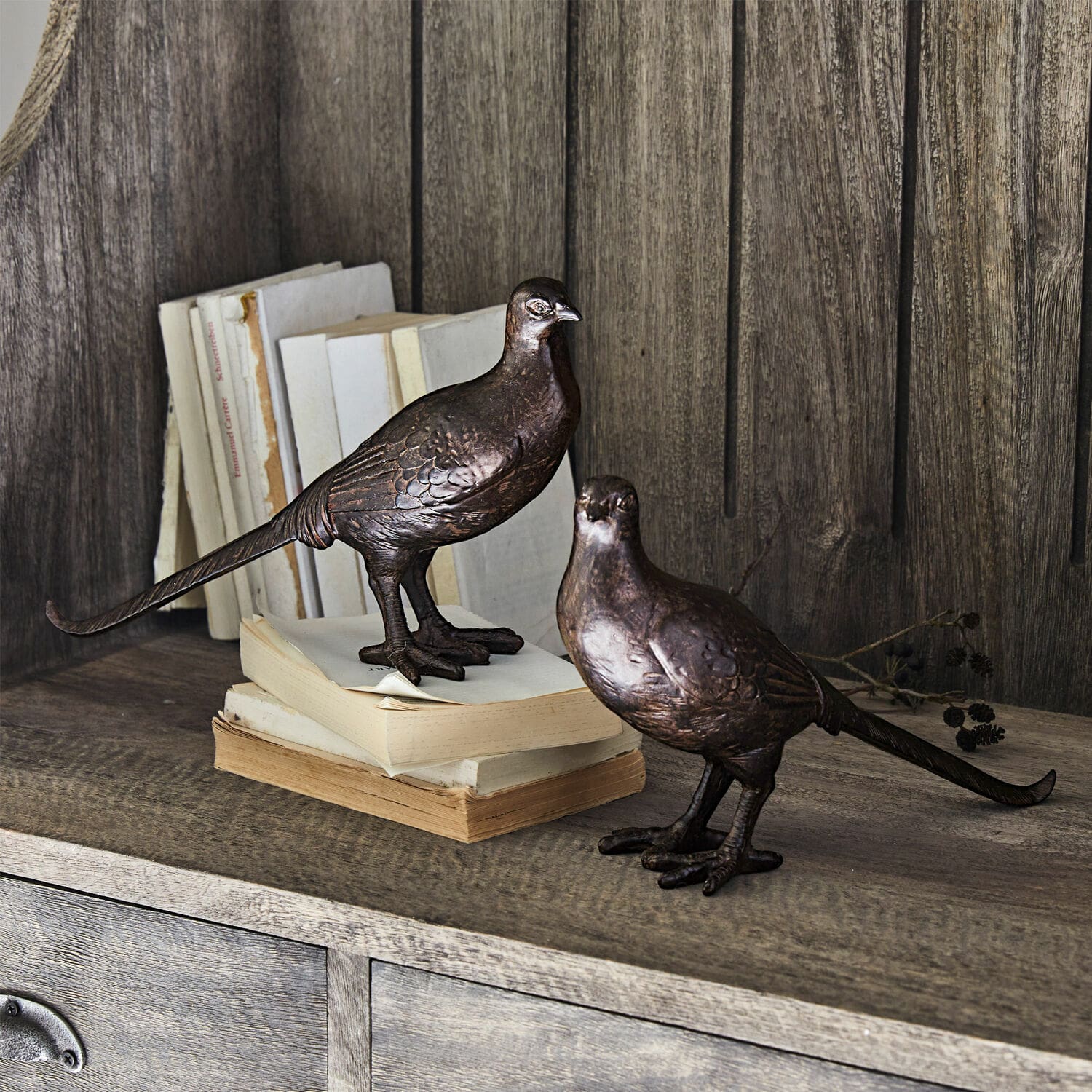 Lot de 2 oiseaux décoratifs Roddy Figurines décoratives d'oiseaux en métal brun posées sur une étagère en bois avec des livres