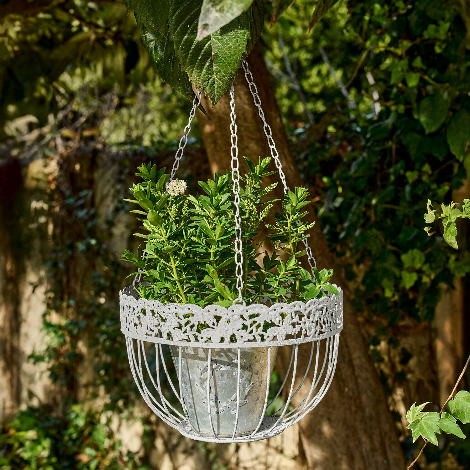 Lot de deux corbeilles à suspendre Iveralia