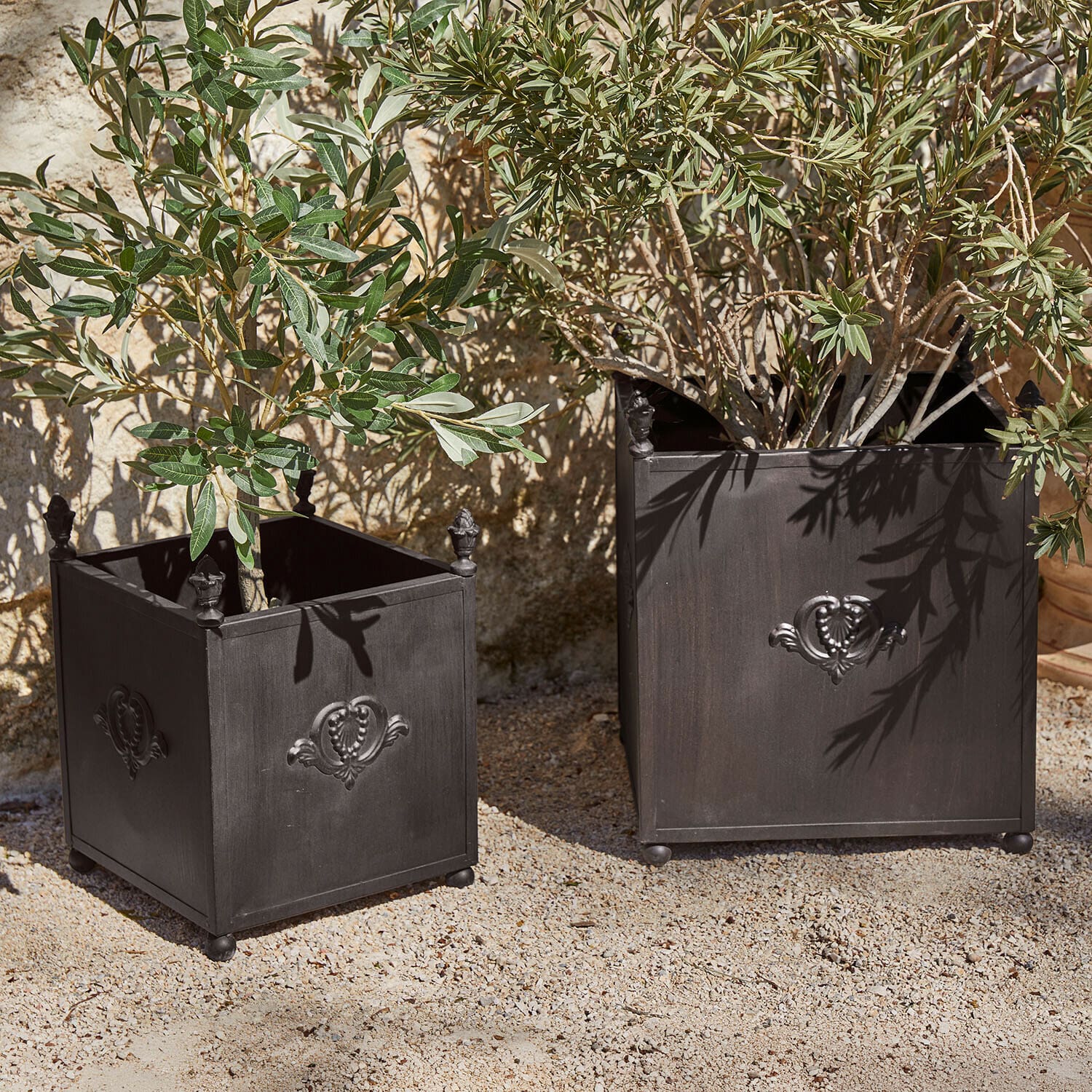 Lot de 2 cache-pots Ardevino Deux jardinières carrées en métal noir avec motif décoratif, contenant des plantes vertes en extérieur