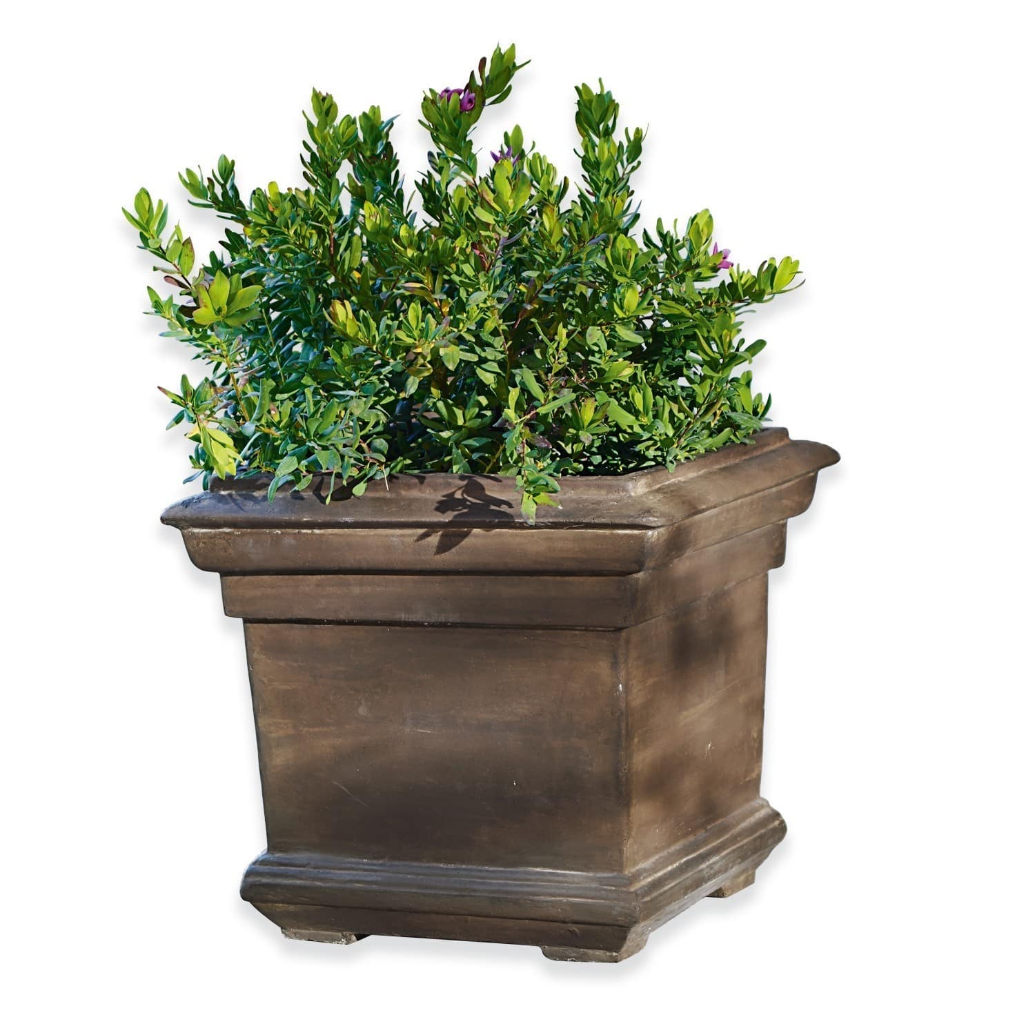 Cache-pot Magnum