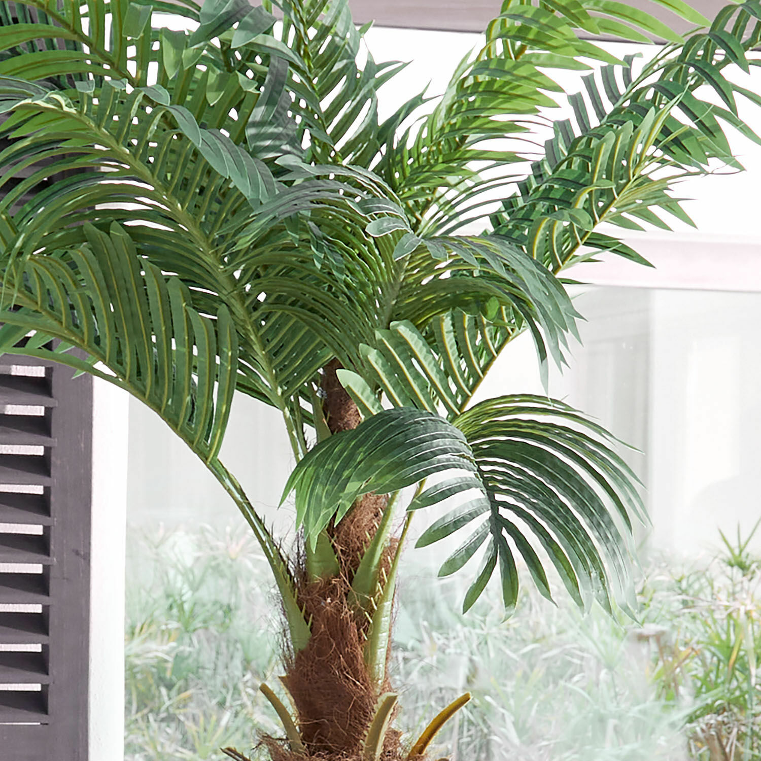 Decoratieve potplant Zephyriel