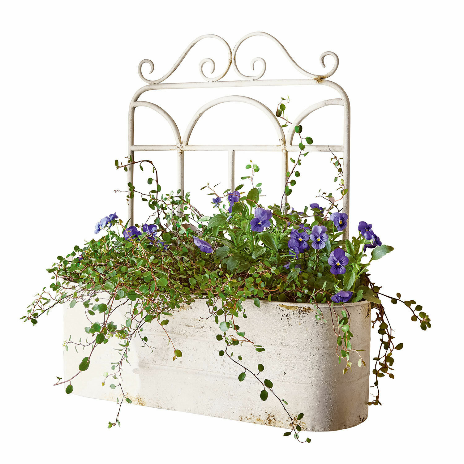 Plantenbak Marwin Witte metalen plantenbak met paarse bloemen en groen blad voor tuindecoratie