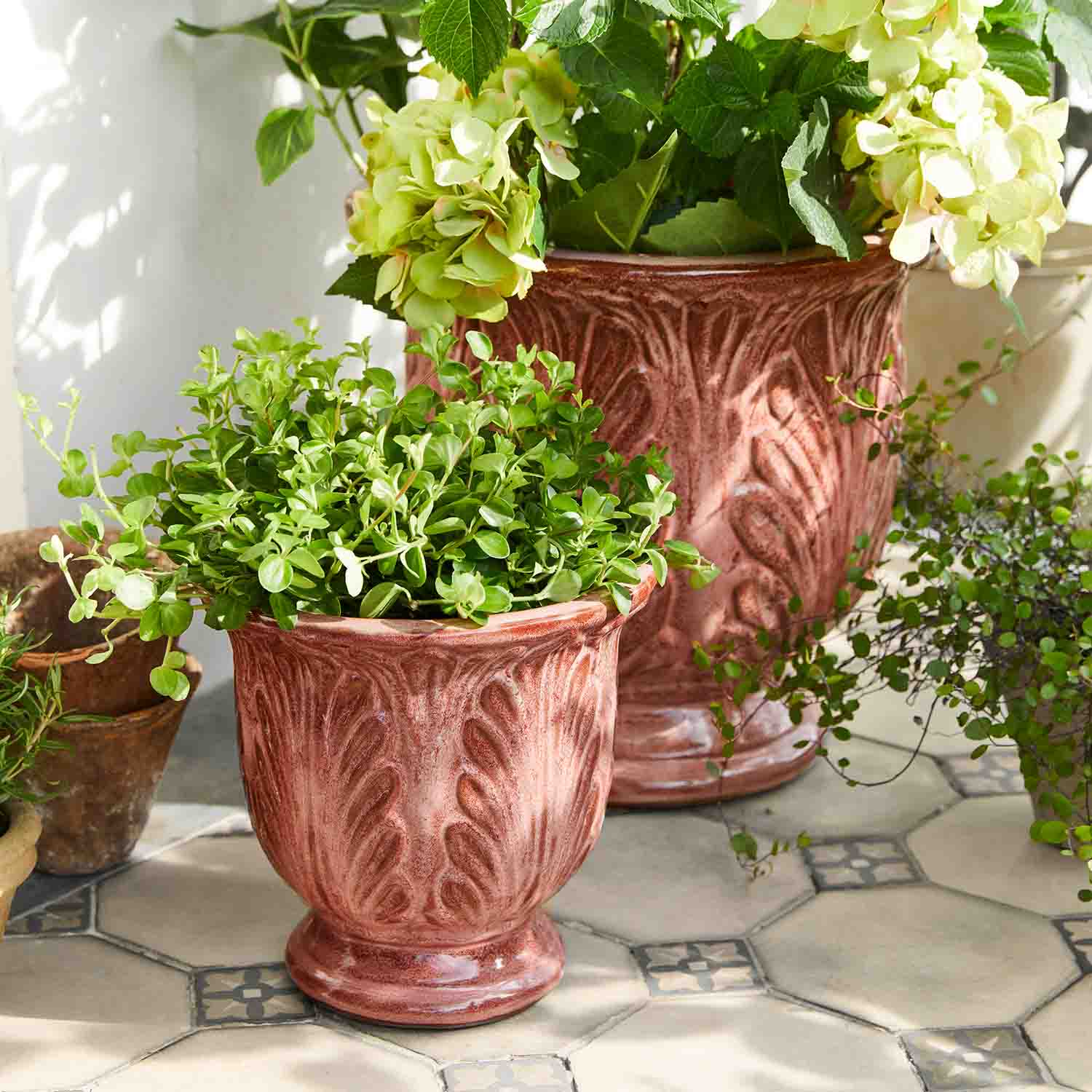 Pots en céramique rouille avec plantes vertes sur carrelage clair, motifs décoratifs en relief