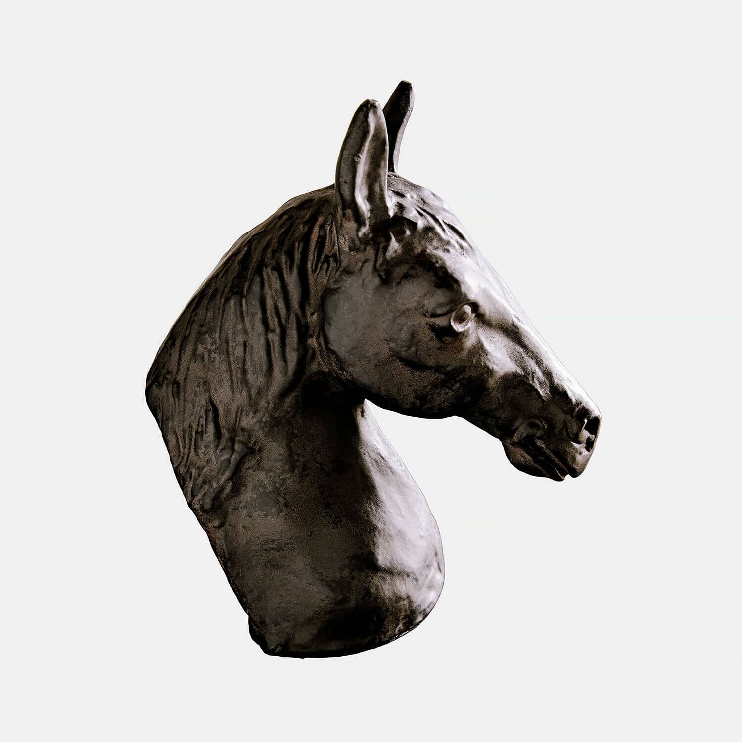 Beeld van paardenhoofd van donker metaal met realistische details, interieurdecoratie