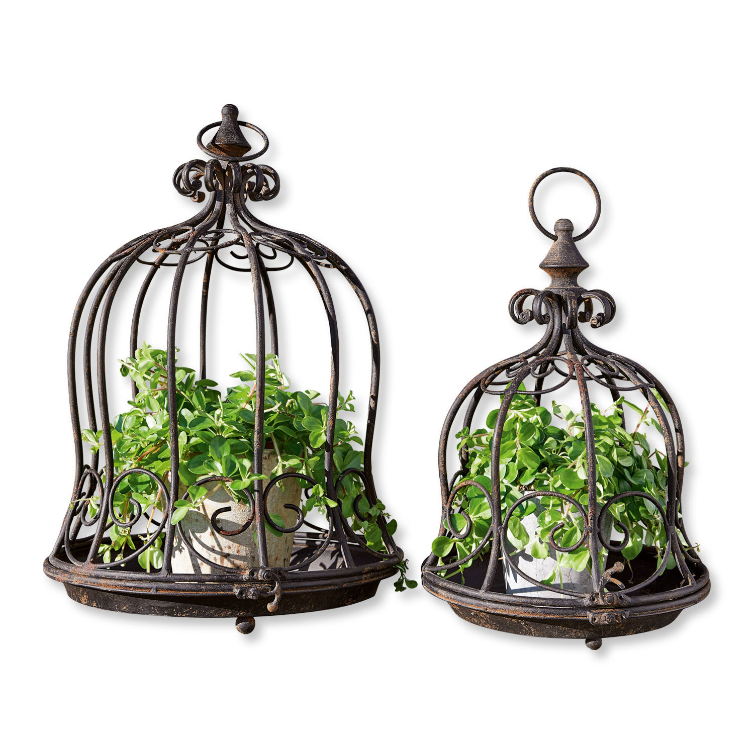 Lot de 2 treillages Luisianne