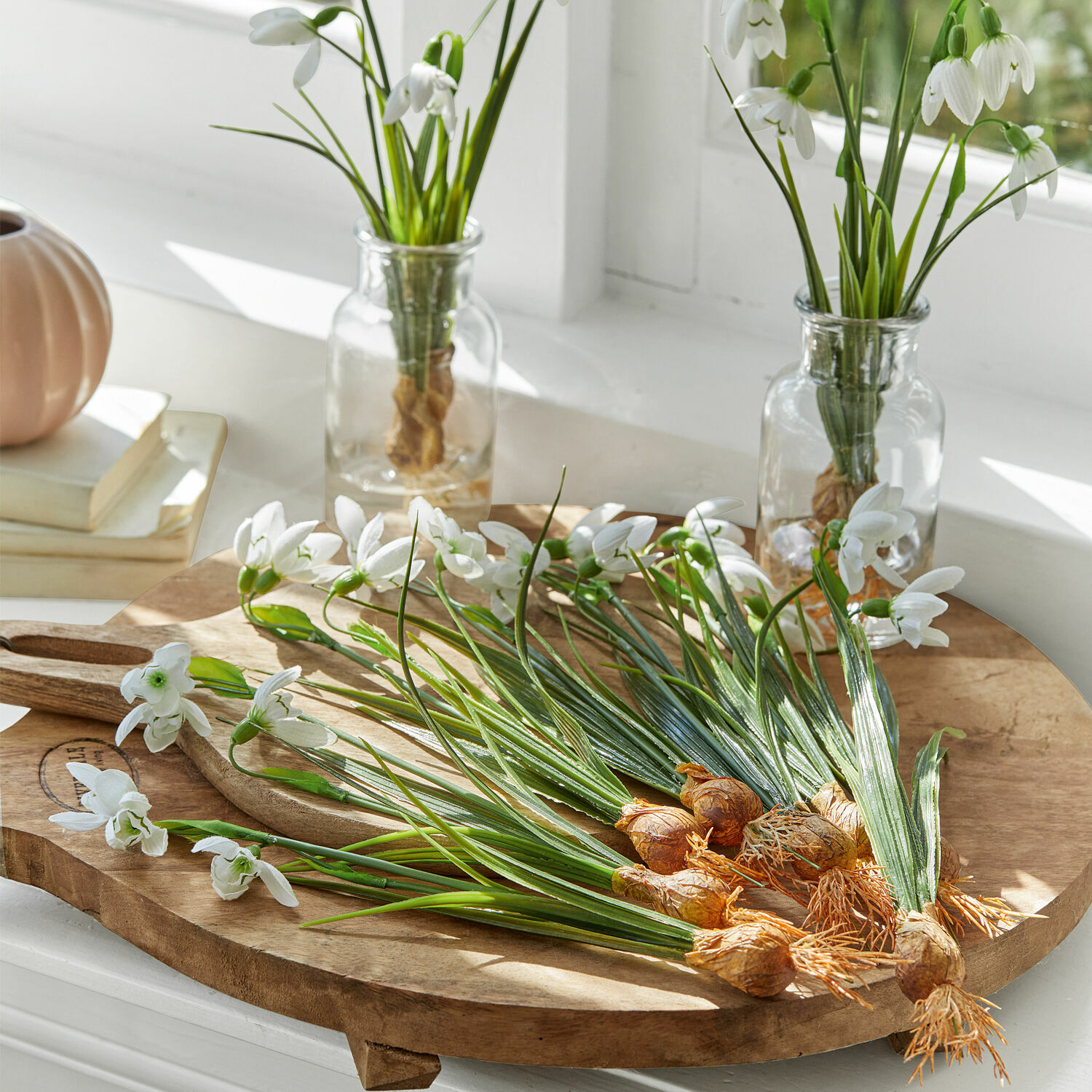 Sierbloem set van 12 Willmare Witte sneeuwklokjesbloemen met bollen op houten snijplank in lichte kamer