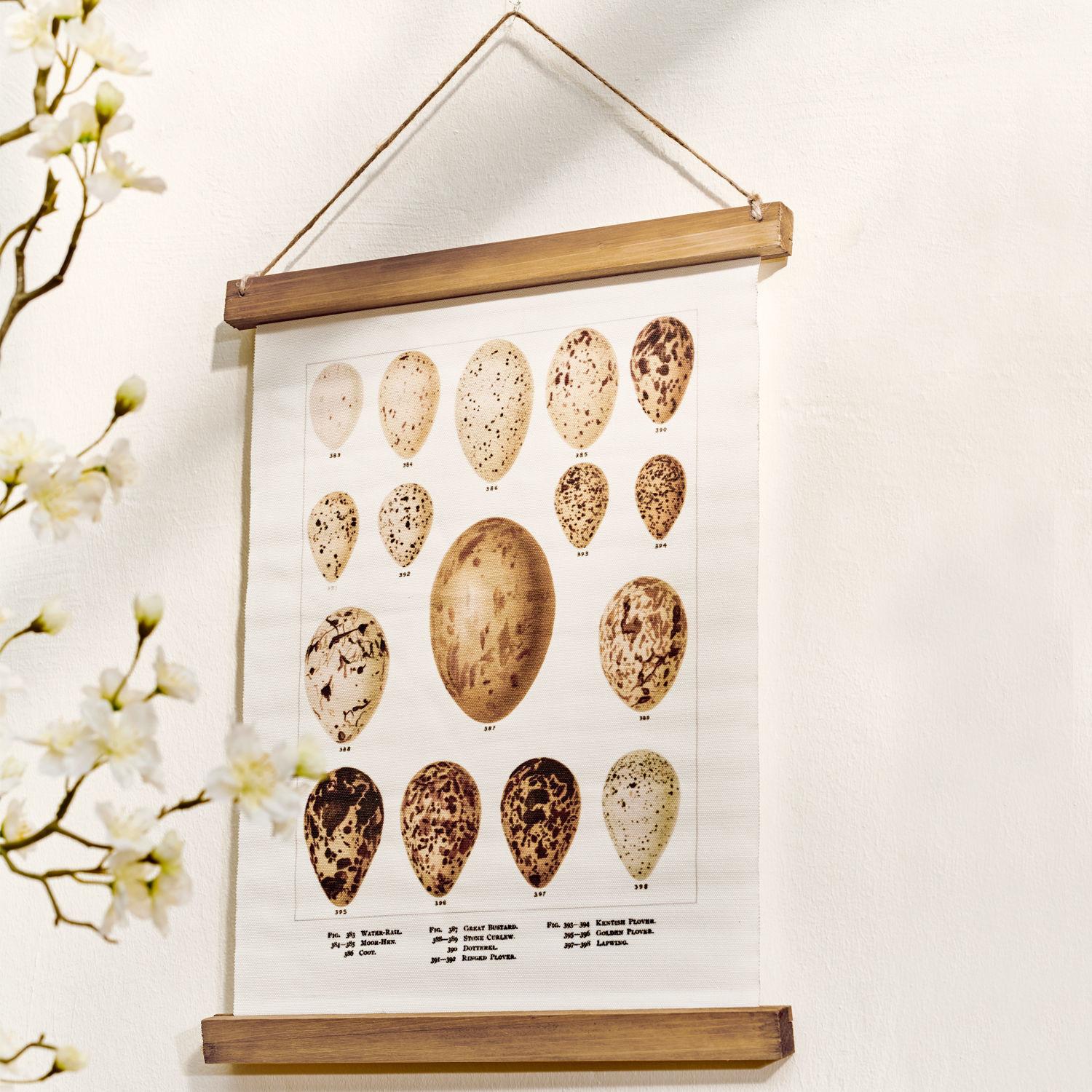 Tableau Taibor Affiche illustrée d'œufs d'oiseaux en nuances de brun et beige sur toile avec support en bois
