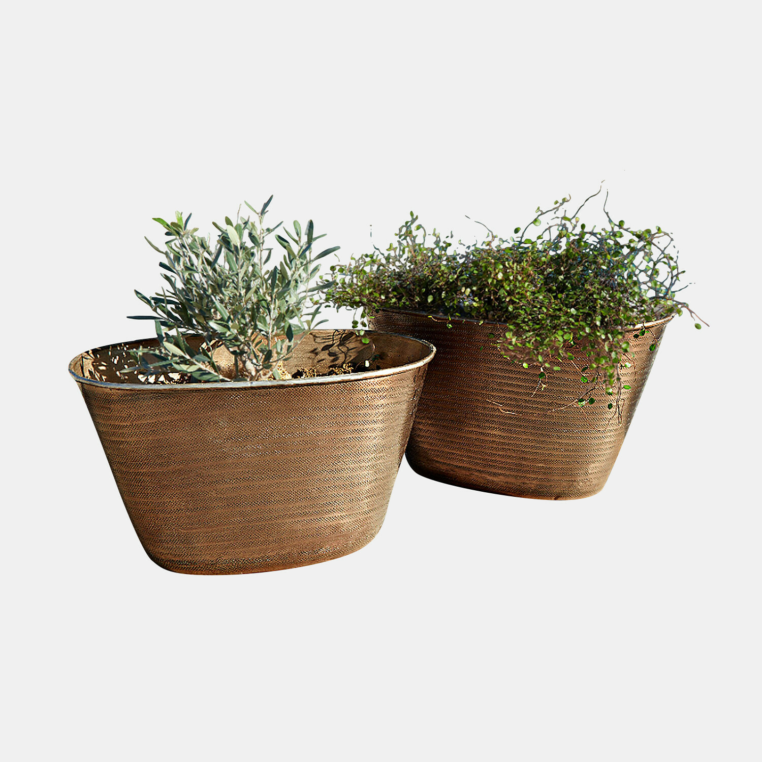 Sierpot set van 2 Rinalo Twee koperen plantenbakken met planten, decoratieve bloempotten voor binnen en buiten