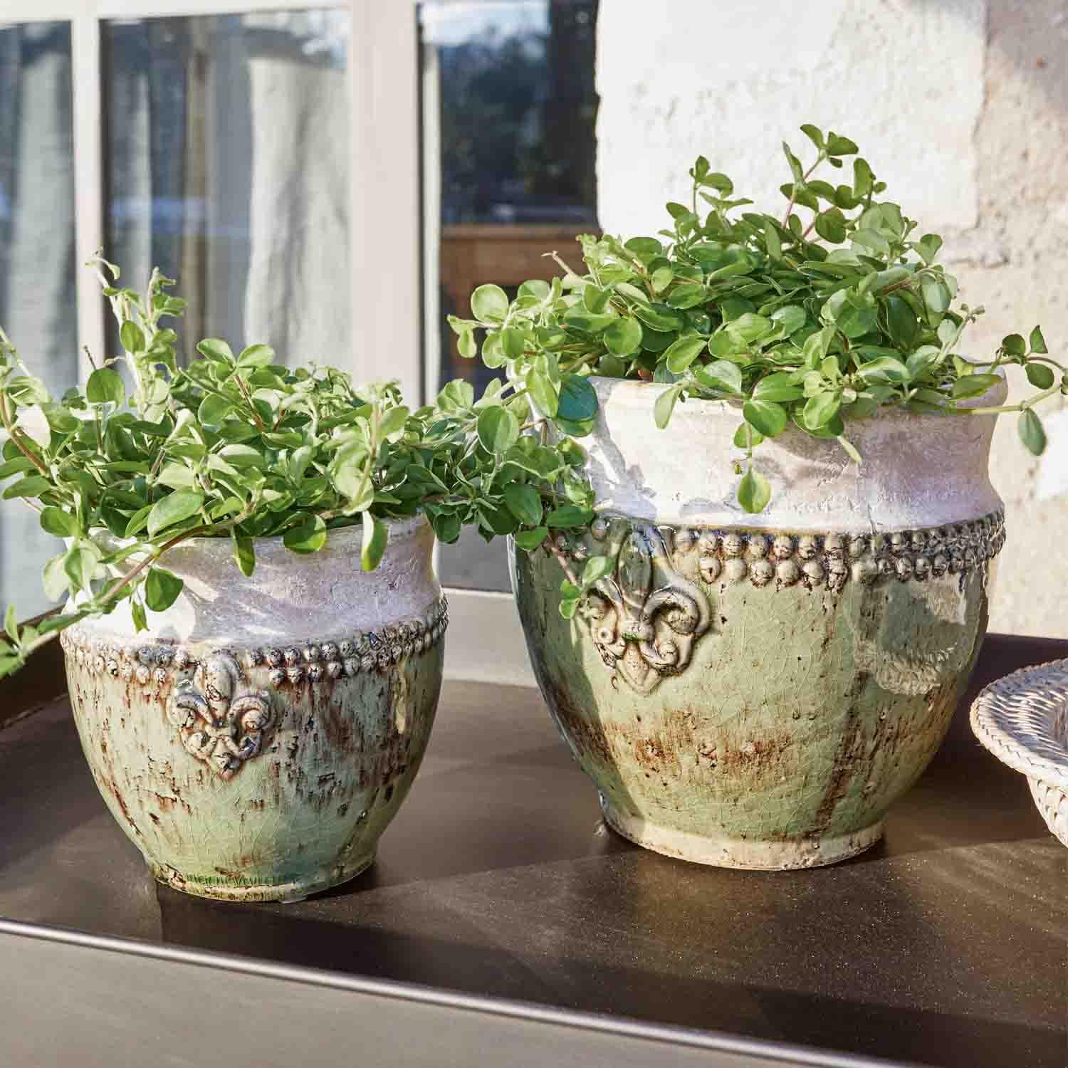 Deux pots en céramique vert et blanc avec plantes, décorations ornementales, extérieur lumineux
