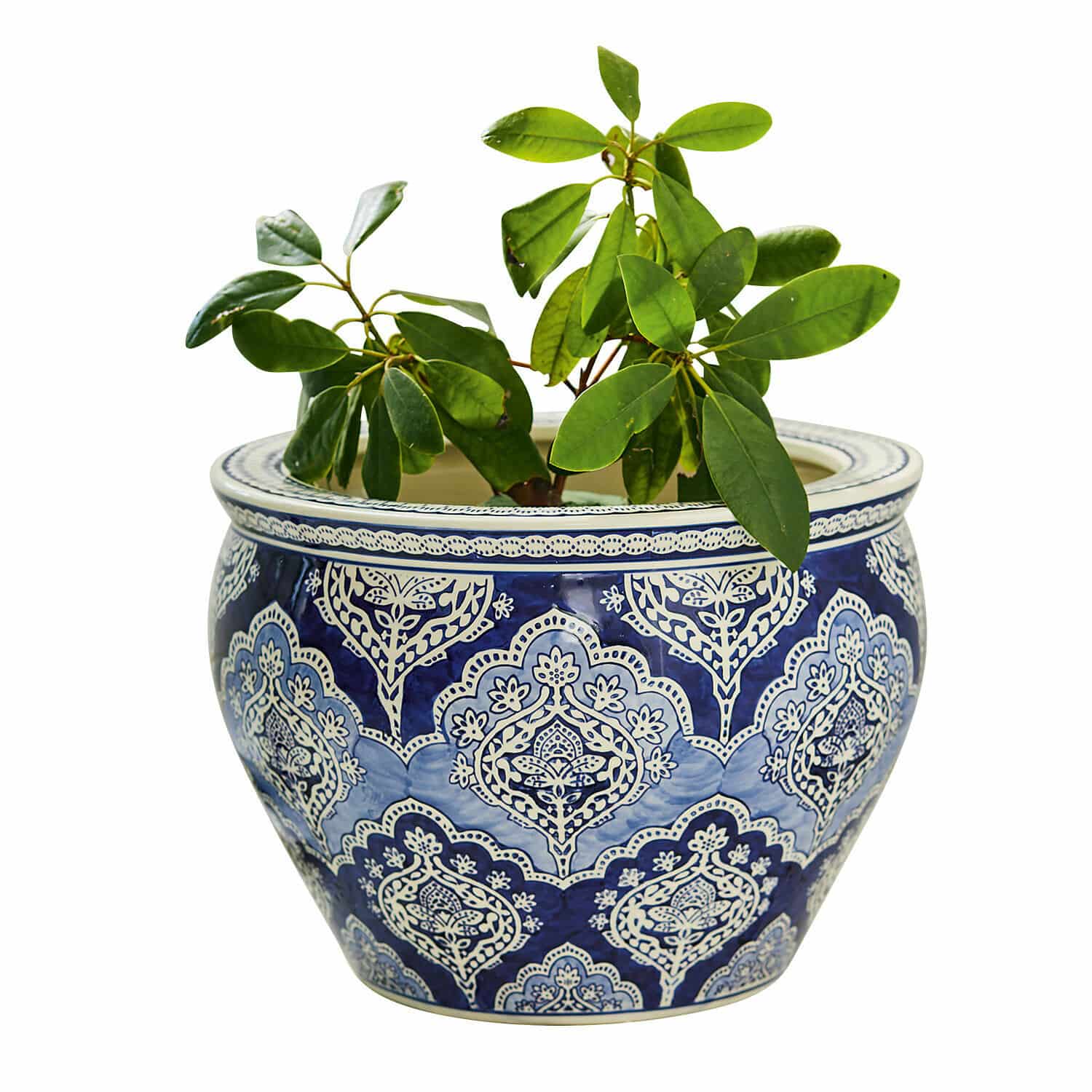 Cache-pot Aurélie Cache-pot en céramique bleu et blanc avec plante verte, décoration intérieure et jardin