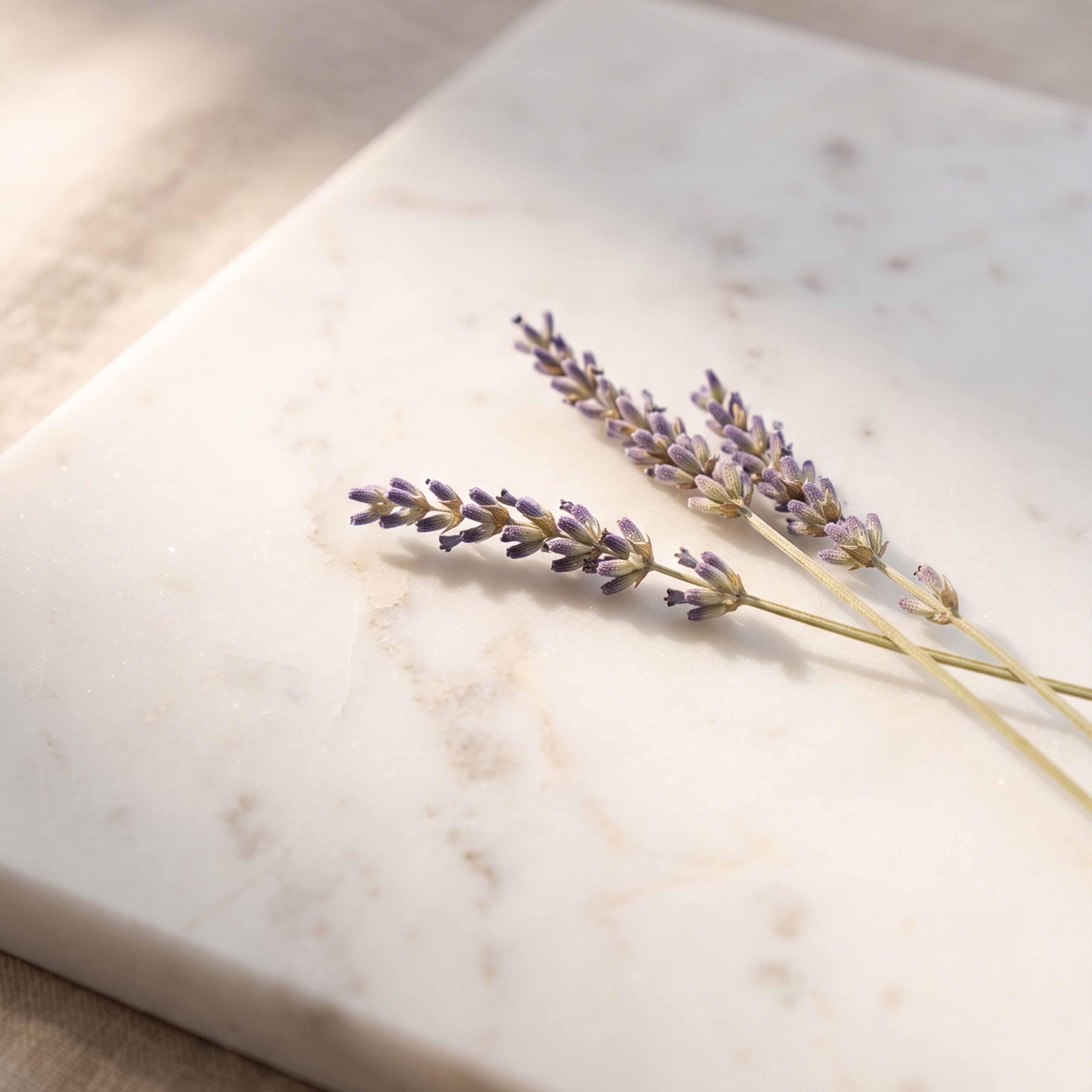 Gedroogde paarse lavendel takjes op lichte marmeren achtergrond voor natuurlijke decoratie