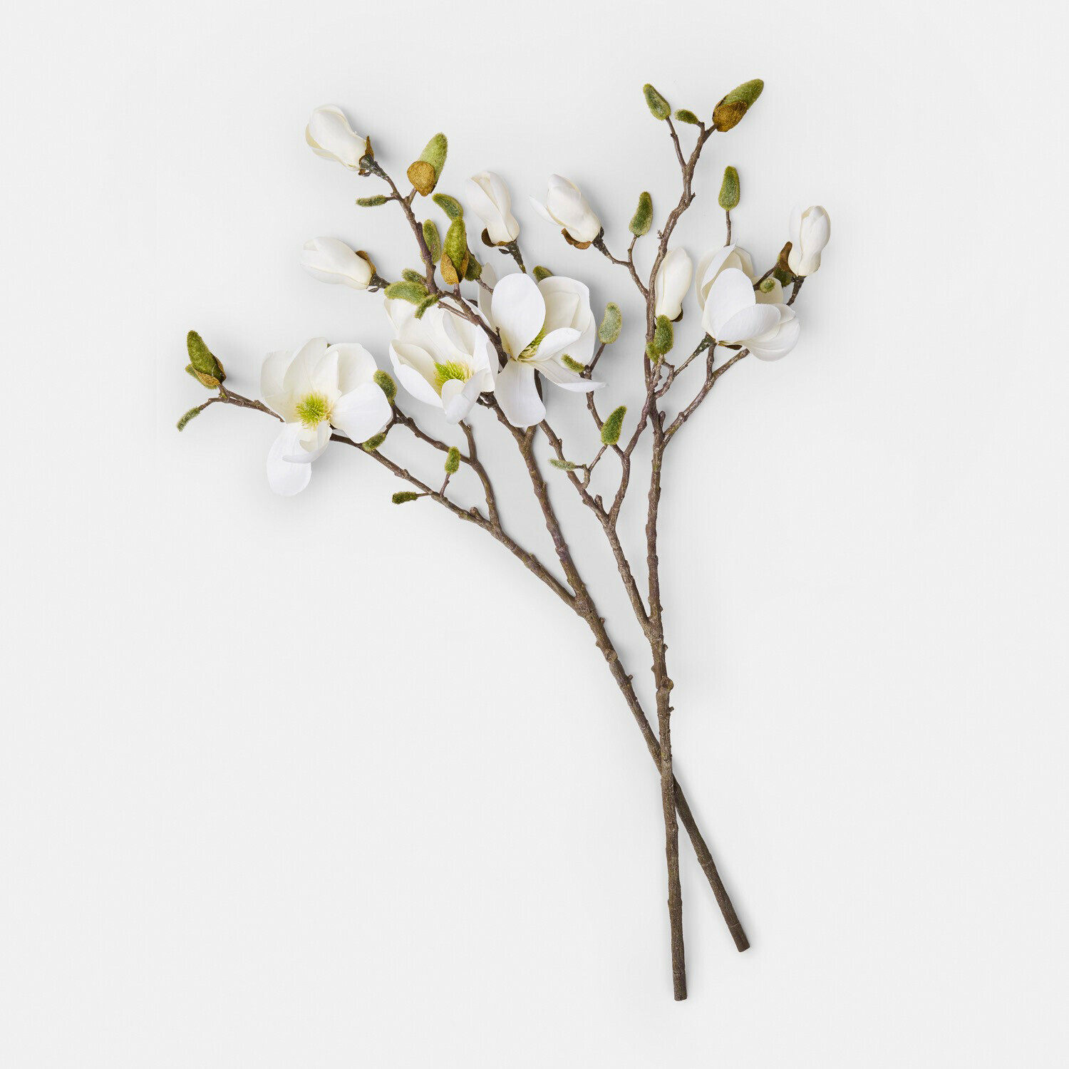 crème Set van 2 crèmekleurige decoratieve magnoliatakken voor interieurdecoratie