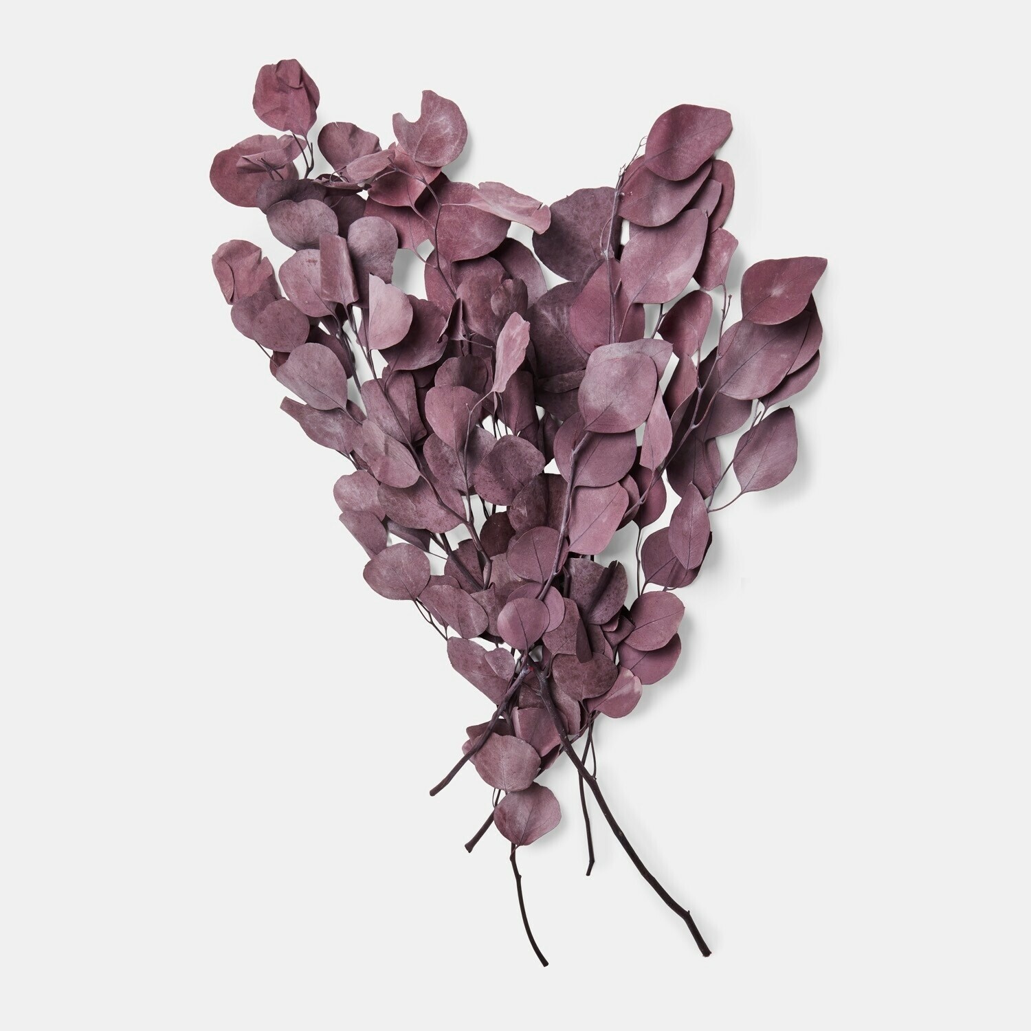 Decoratieve bloem Ianthee