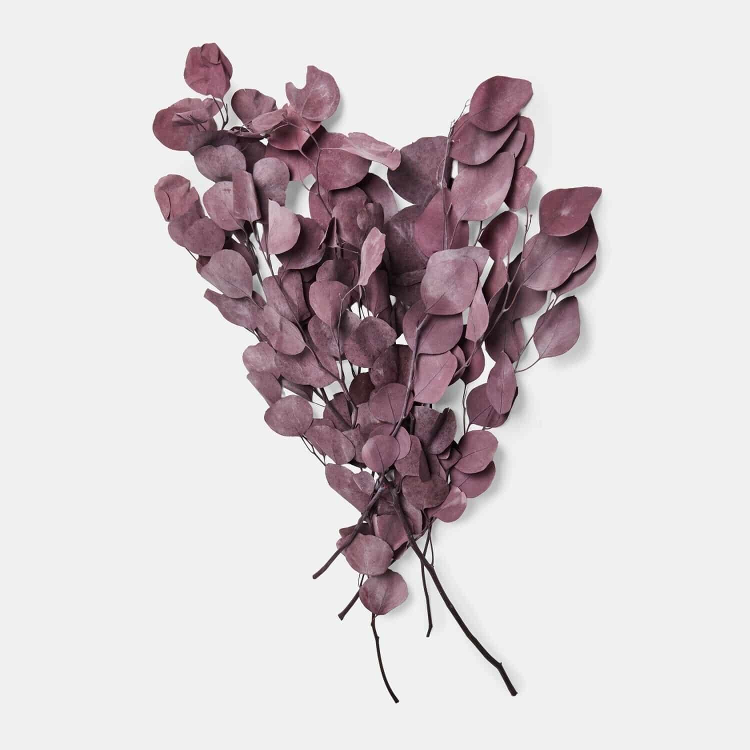 Decoratieve bloem Ianthee Decoratieve bloem Ianthee