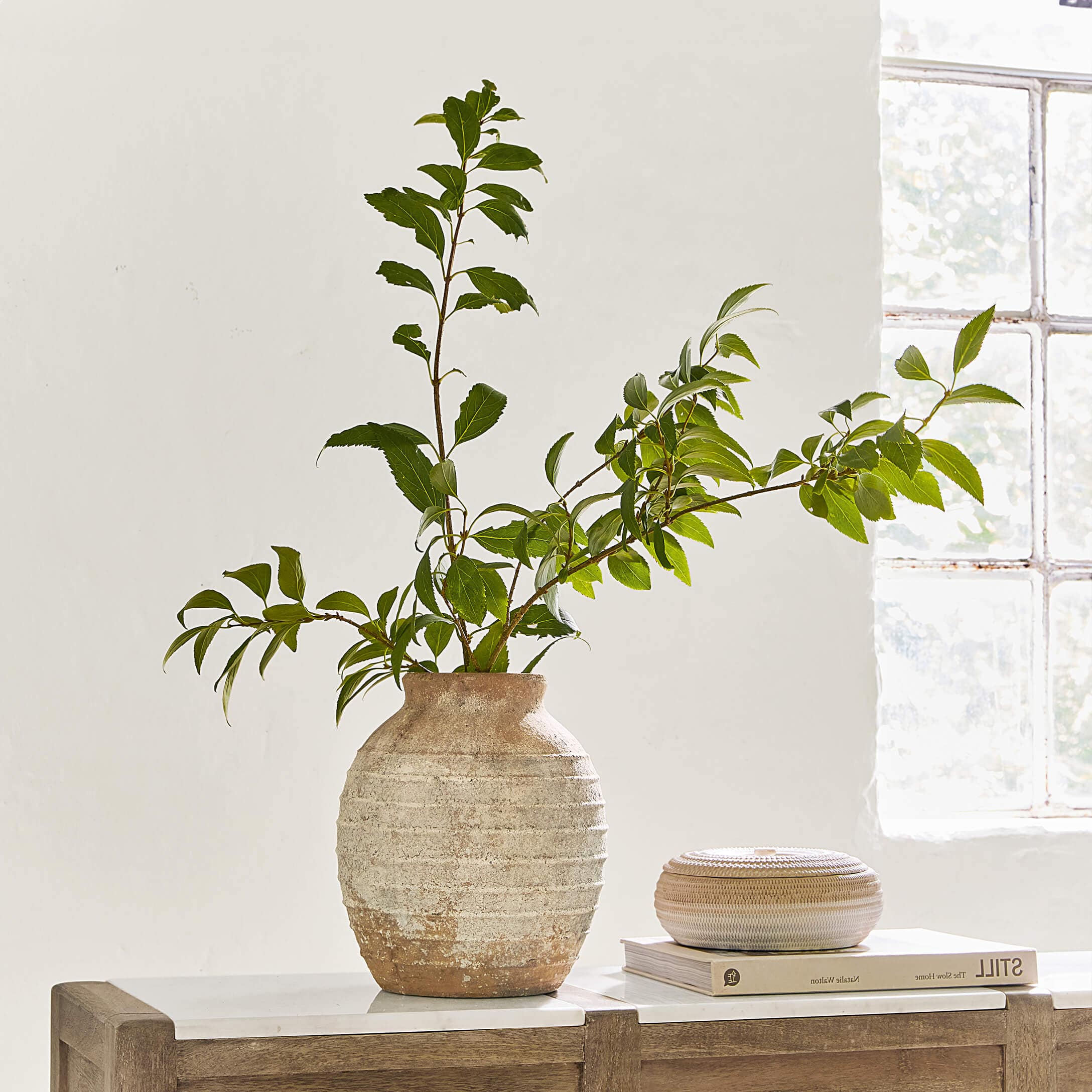 Rustieke beige keramische vaas met groene bladeren op houten kast met marmeren blad