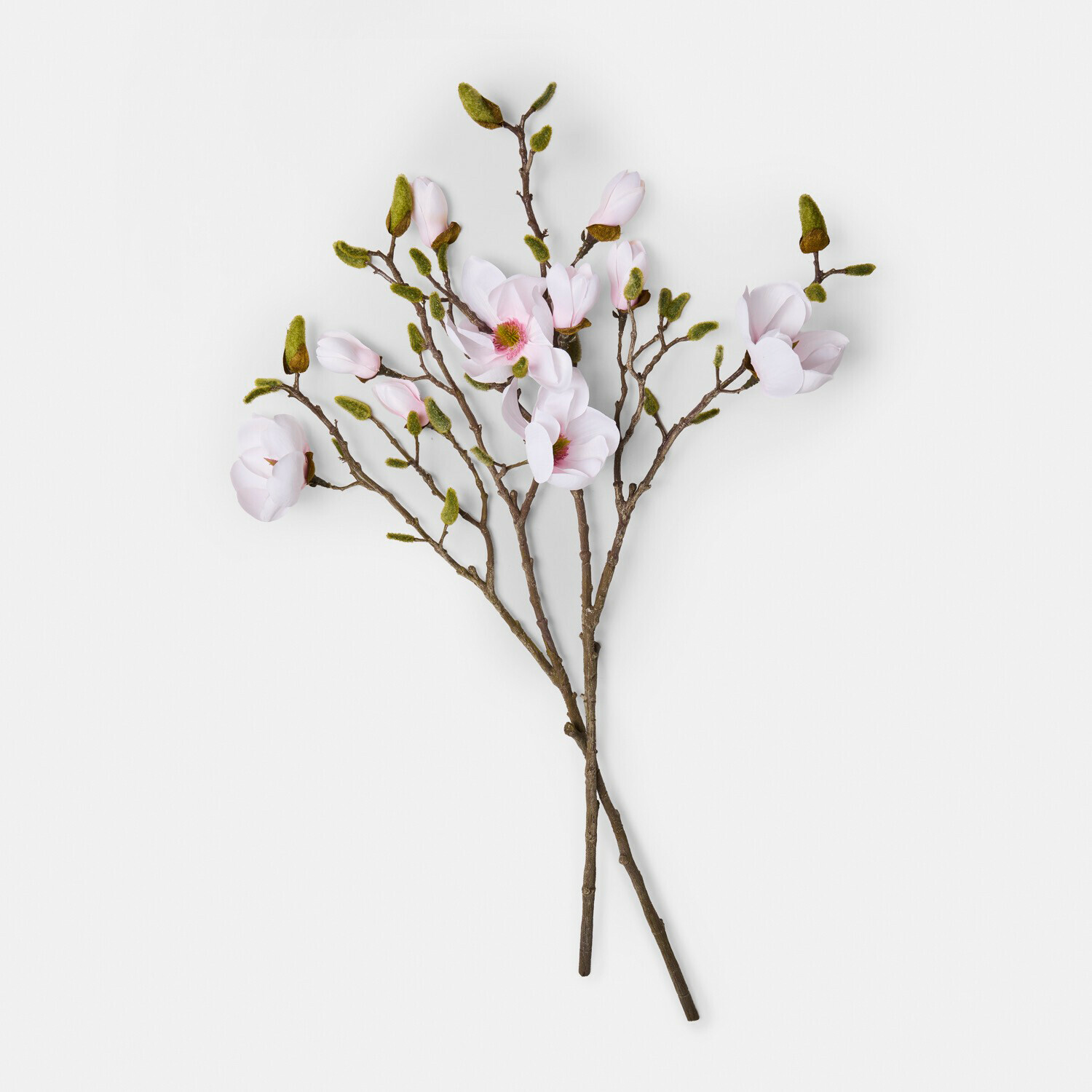 lichtroze Decoratieve takken met lichtroze bloemen en groene knoppen aan bruine stelen