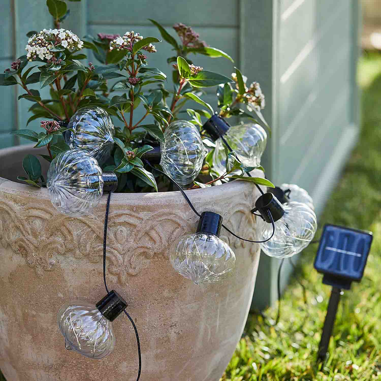 Zonne-lichtsnoer met glazen lampen in bolvorm aan decoratieve bloempot met groene bladeren en witte bloemen