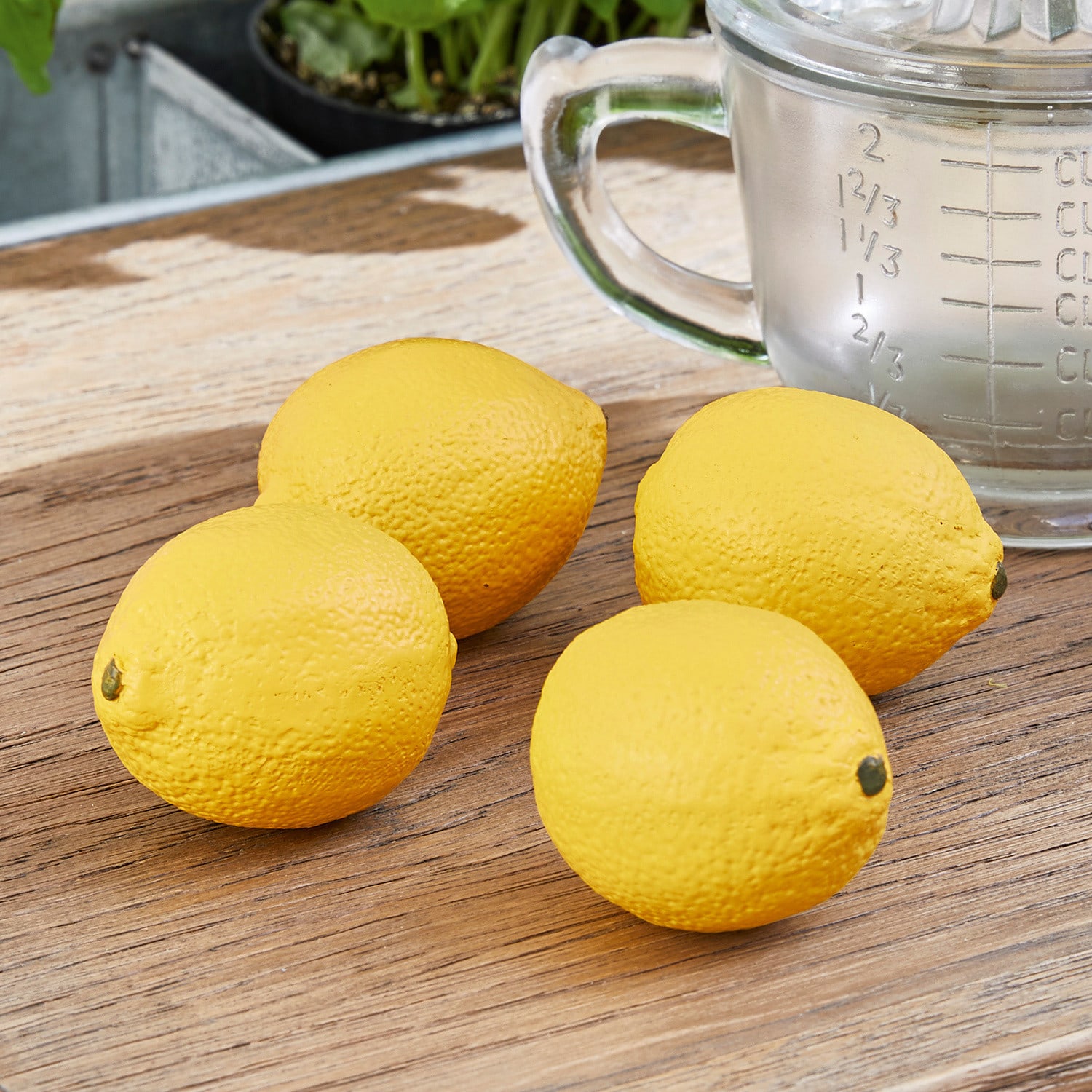Lot de 4 citrons décoratifs Cindy
