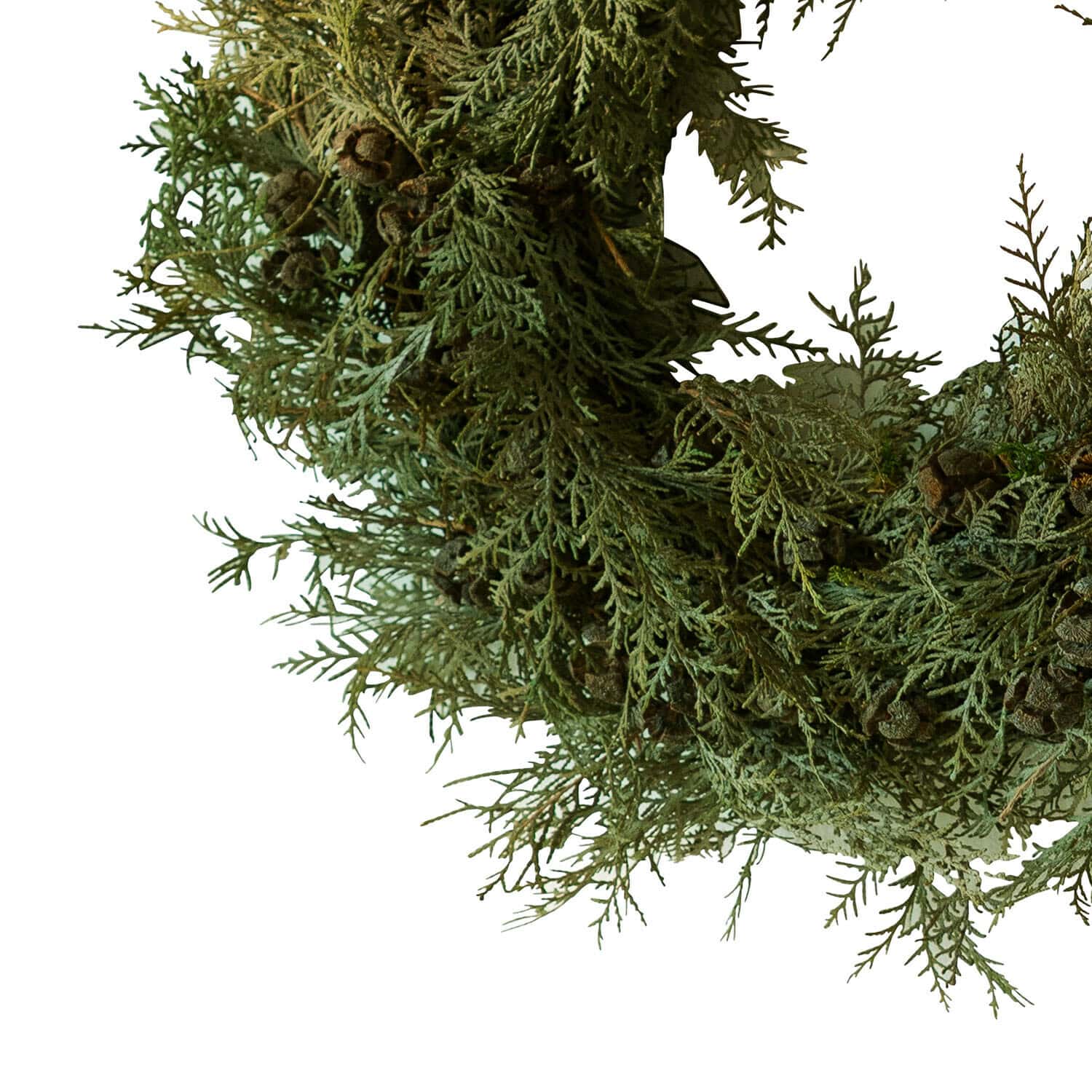Couronne Willara