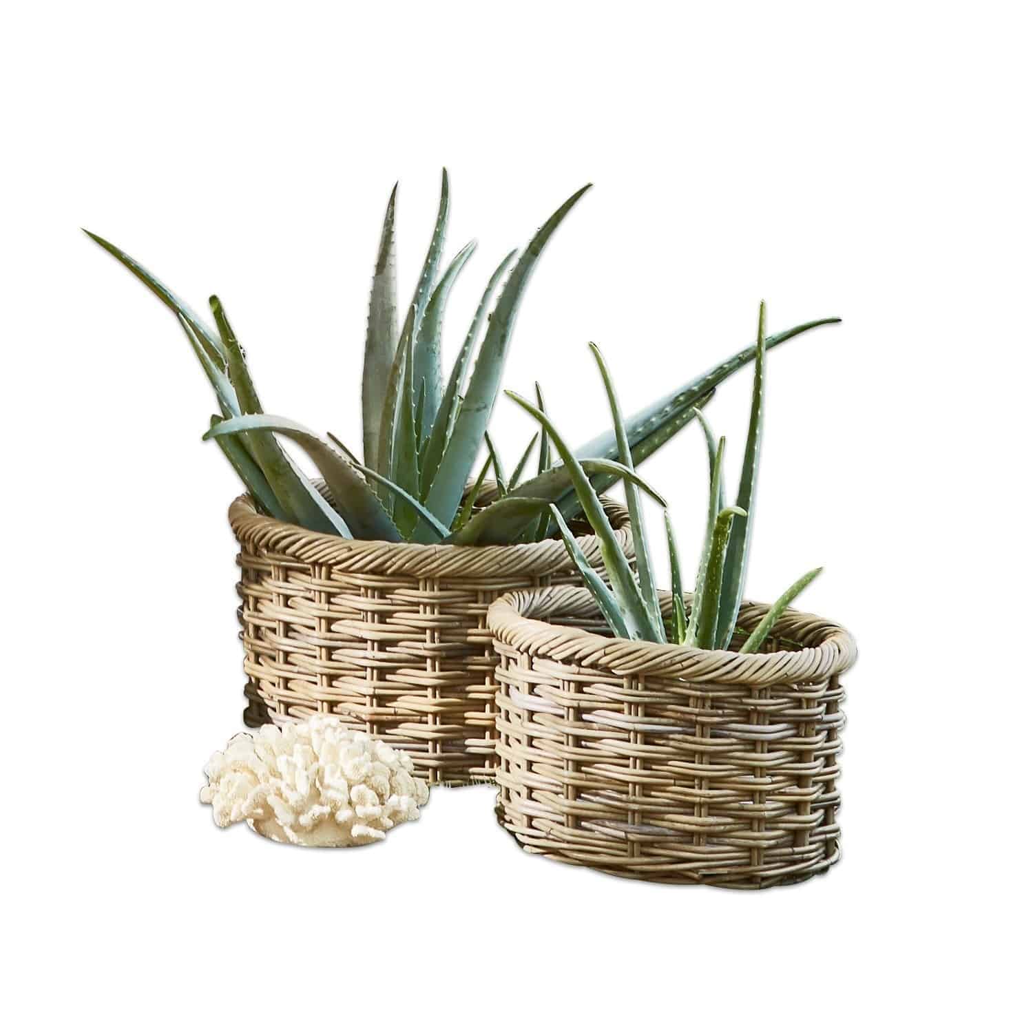 Lot de 2 paniers Audrey