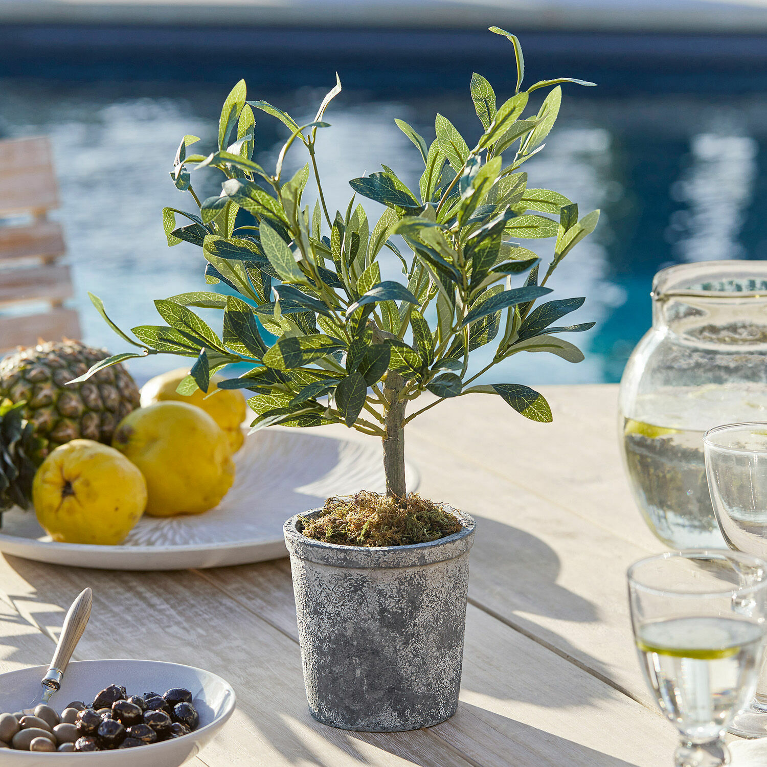 Sierpotplant Mariuccia Kleine kunstboom in grijze betonnen pot op houten tafel met fruit en water