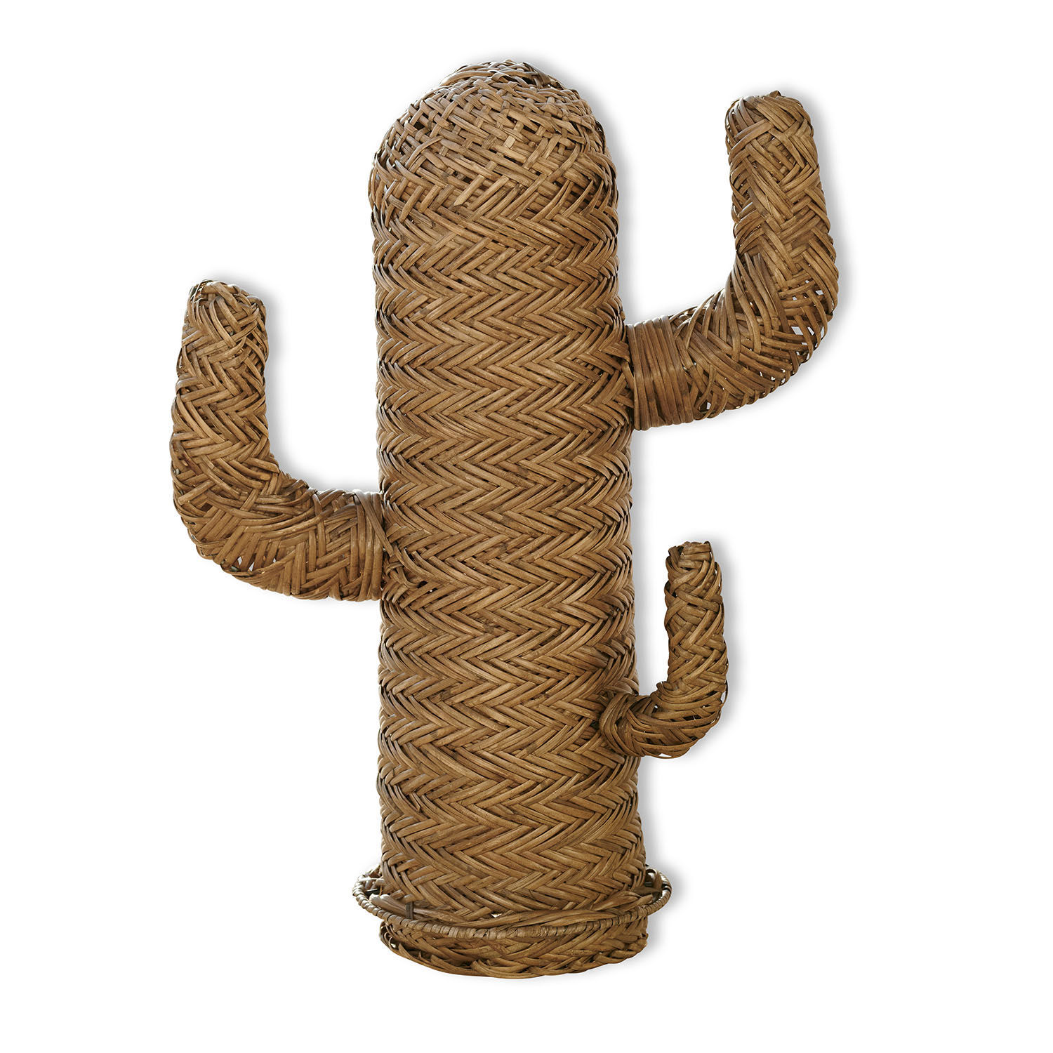 Cactus décoratif Basse