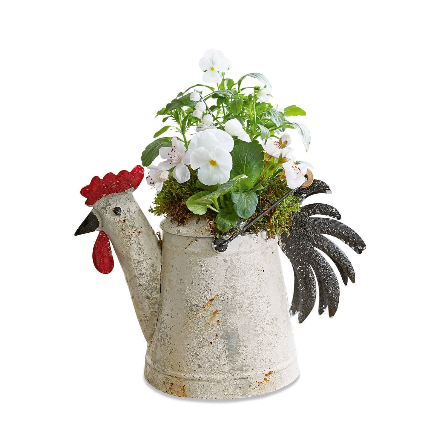 Arrosoir déco Lunier