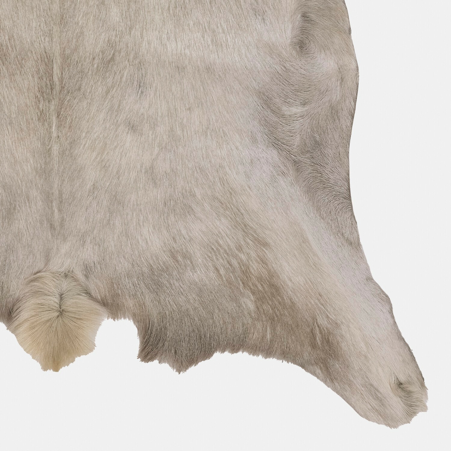 Peau de chèvre Piedro