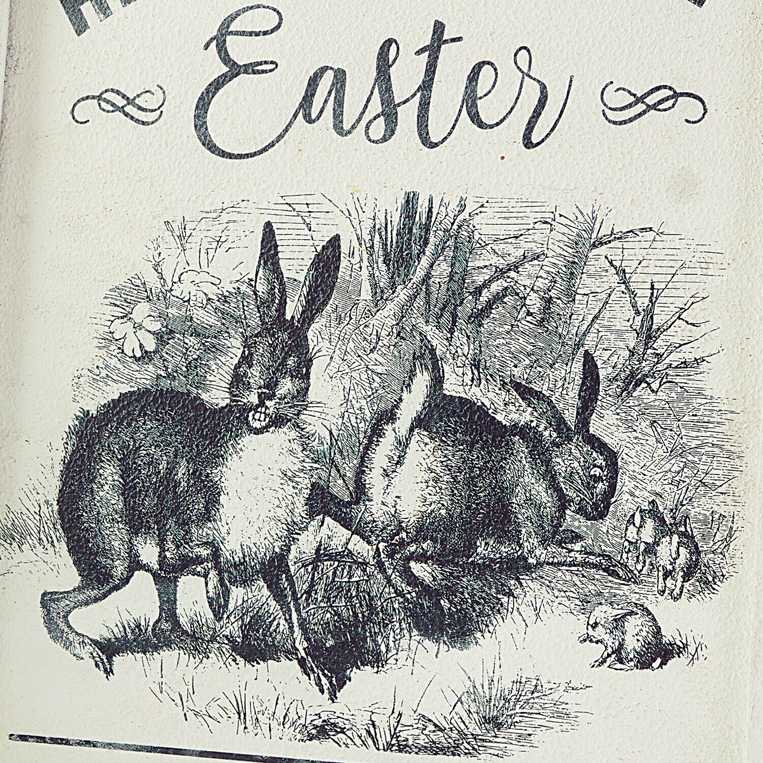 Panneau décoratif Sivalex