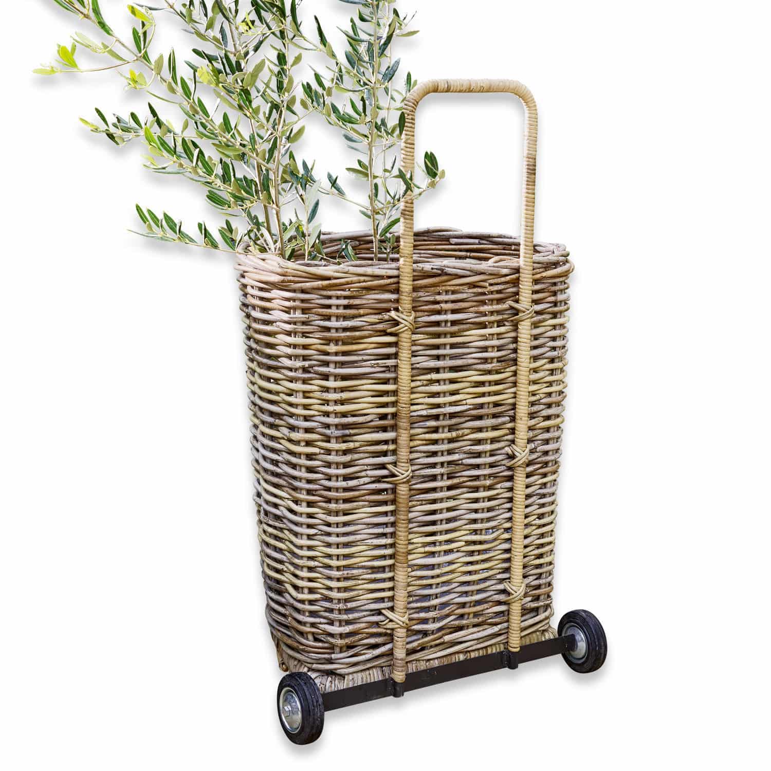Panier Egbert