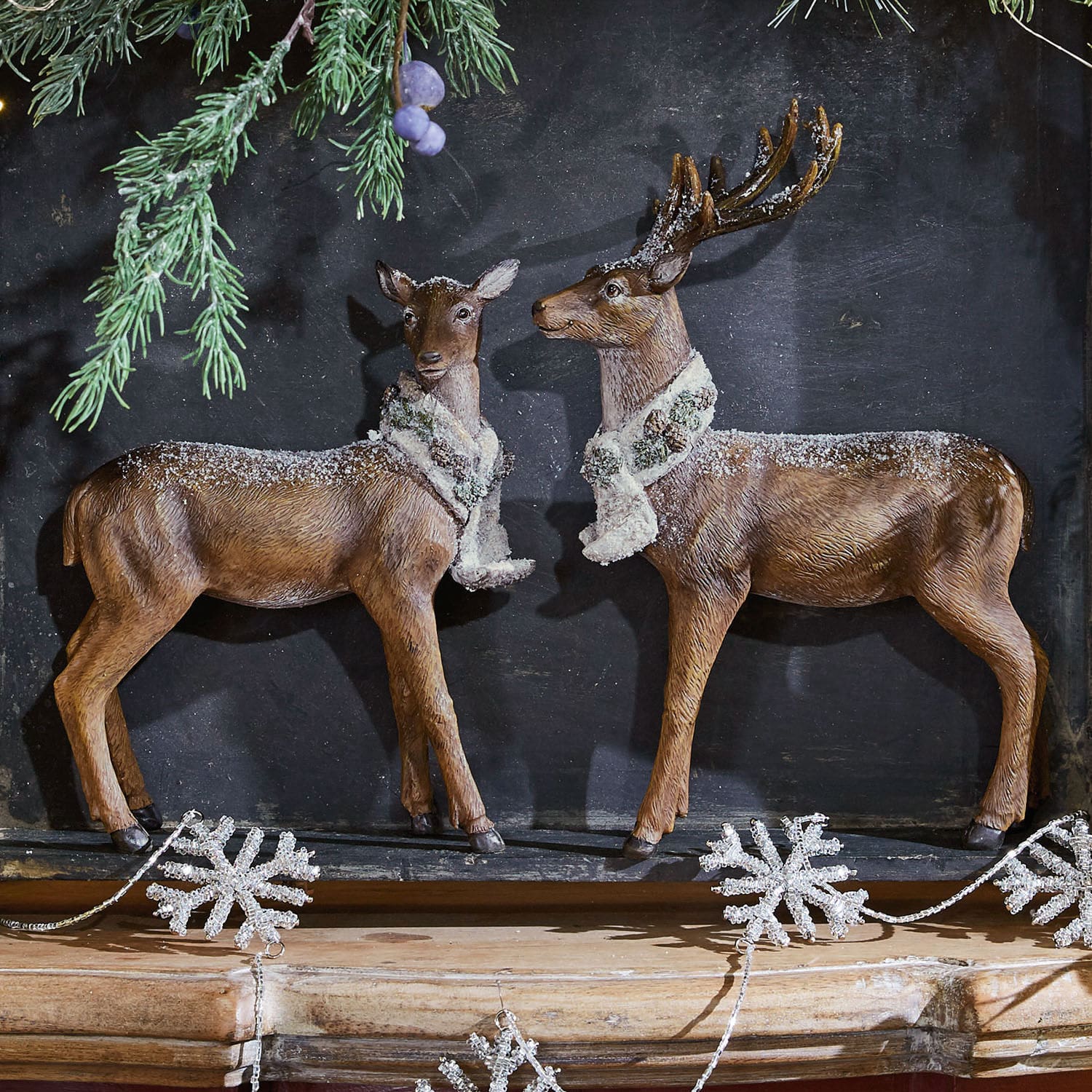 Cerf et chevreuil Alanga