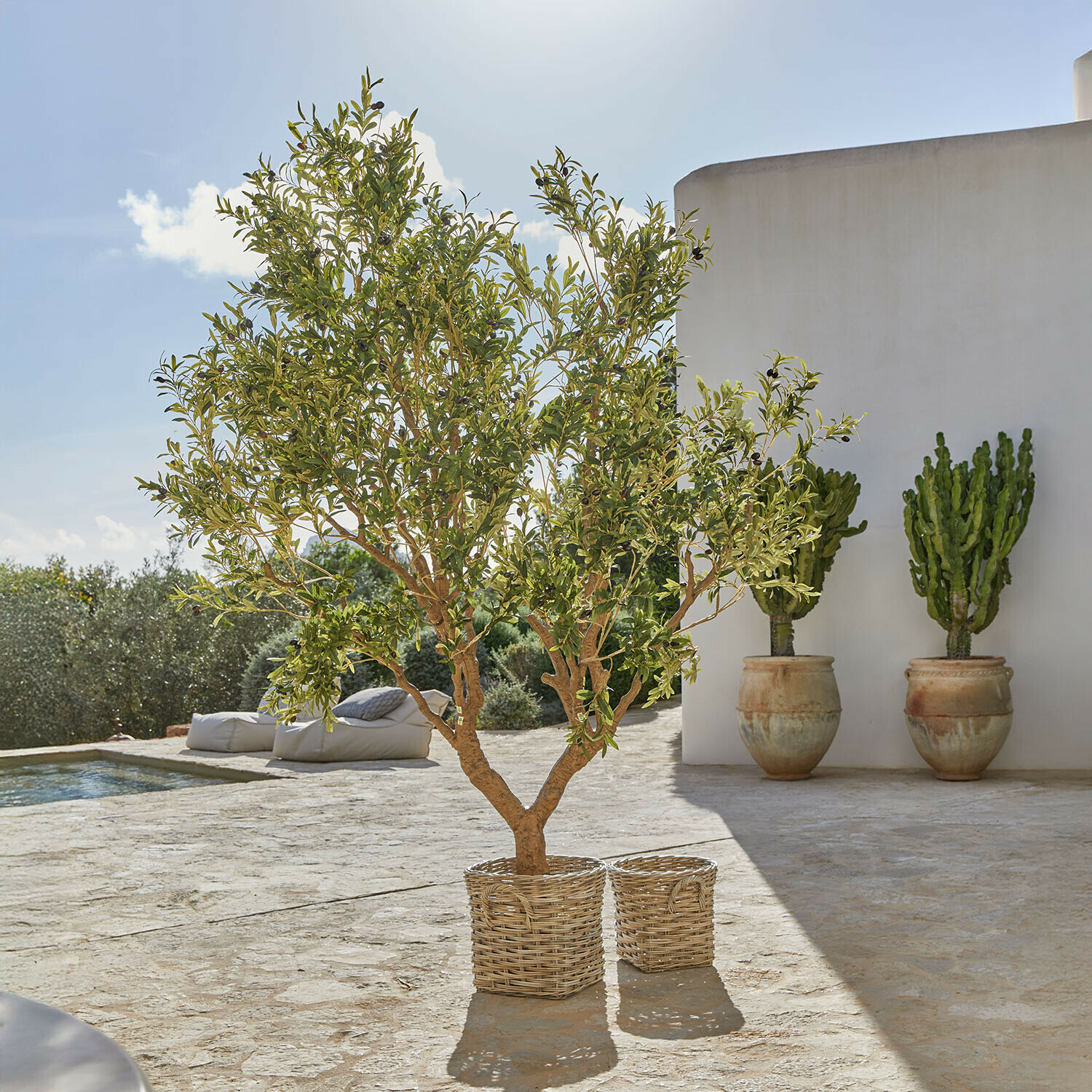 Olivier décoratif Nolaria Arbre d'olivier artificiel en panier en osier sur terrasse en pierre avec cactus en pots en arrière-plan