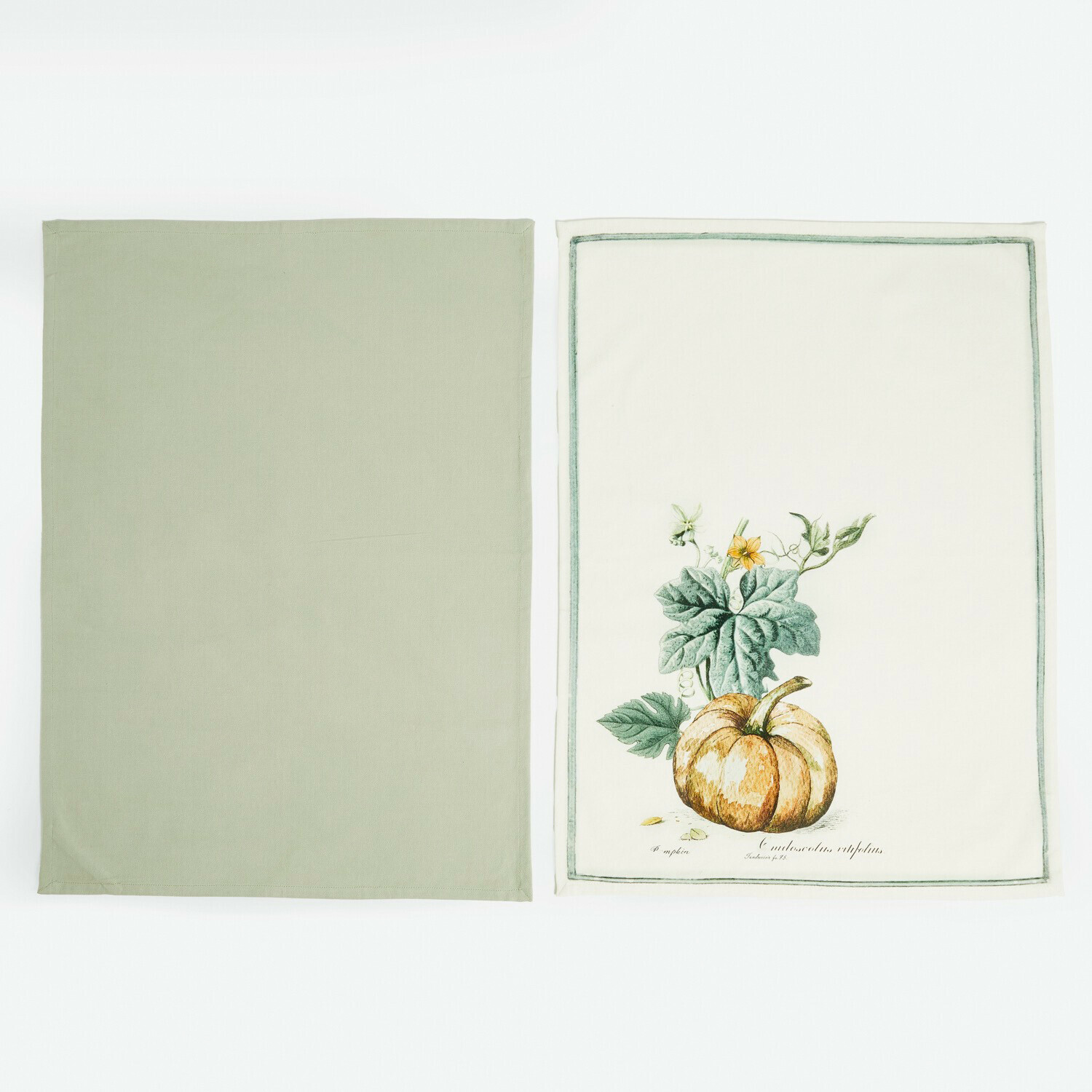 Lot de 2 torchons Pavolinos Lot de deux torchons en coton vert et crème avec motif citrouille pour cuisine décorative