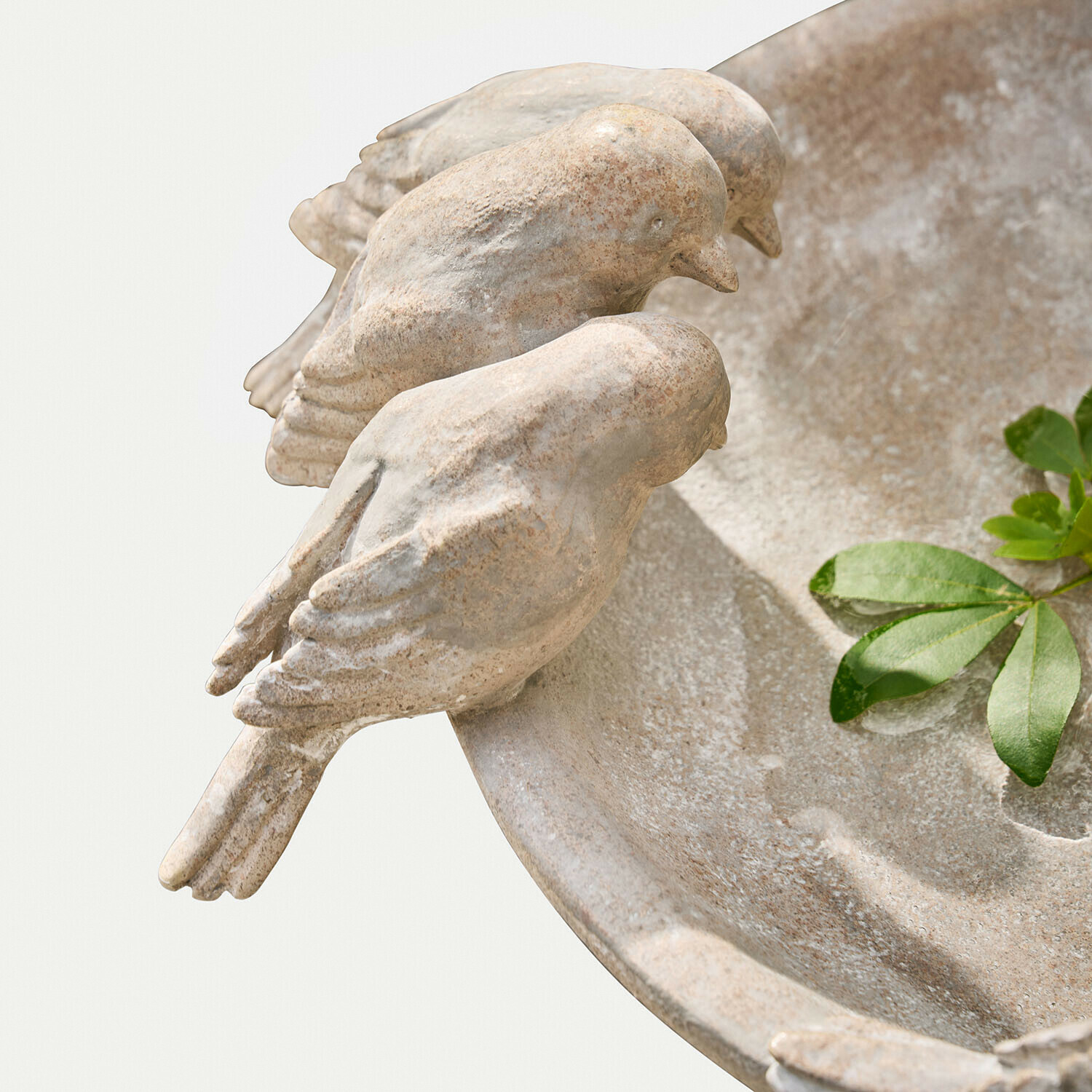 Bain d’oiseaux Haldoríe